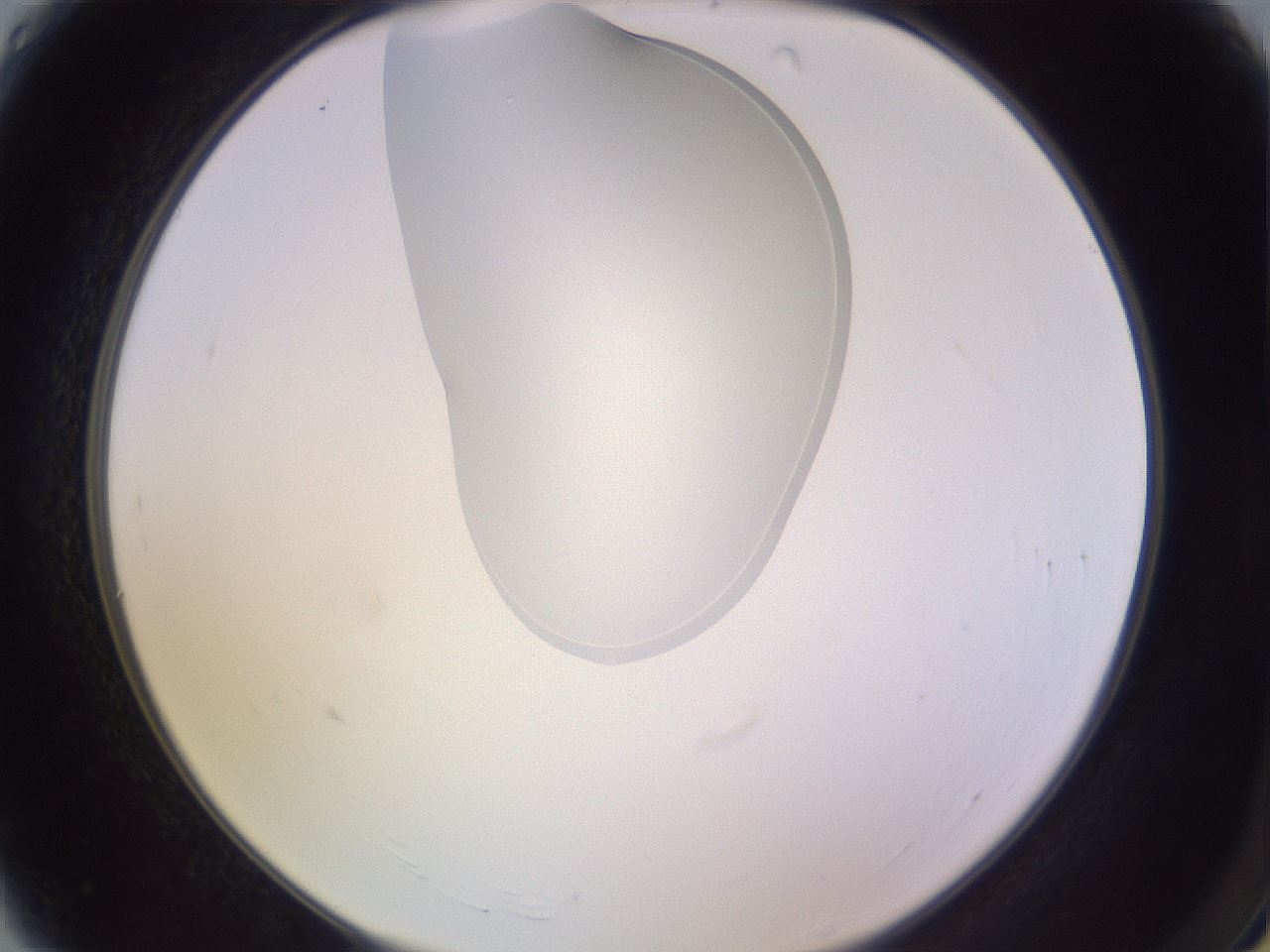 folderID277_plateID1277_batchID4166_wellNum4_profileID1_d2_r73535_ef.jpg