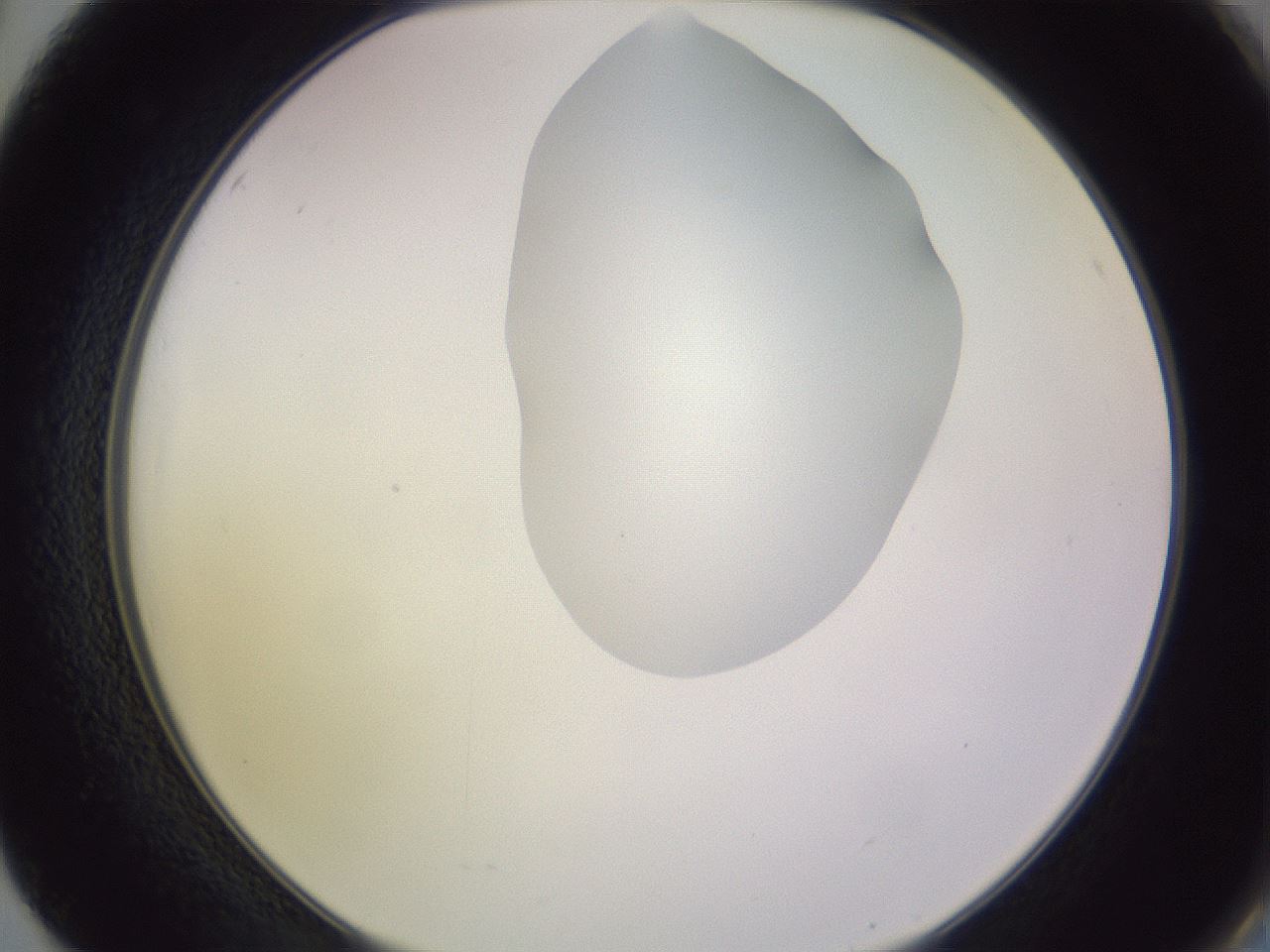 folderID277_plateID1277_batchID4166_wellNum50_profileID1_d2_r73627_ef.jpg