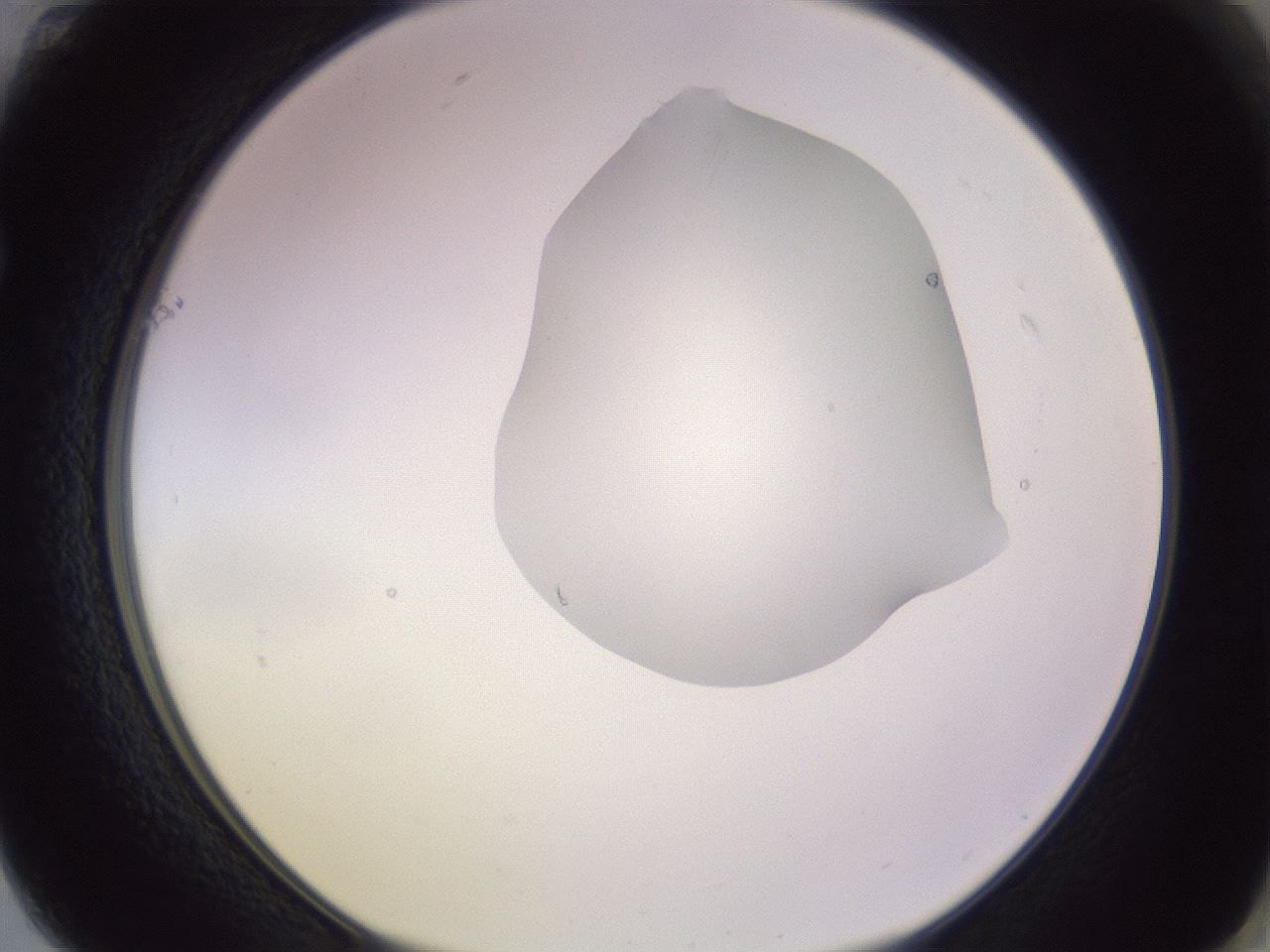 folderID277_plateID1277_batchID4166_wellNum61_profileID1_d1_r73648_ef.jpg