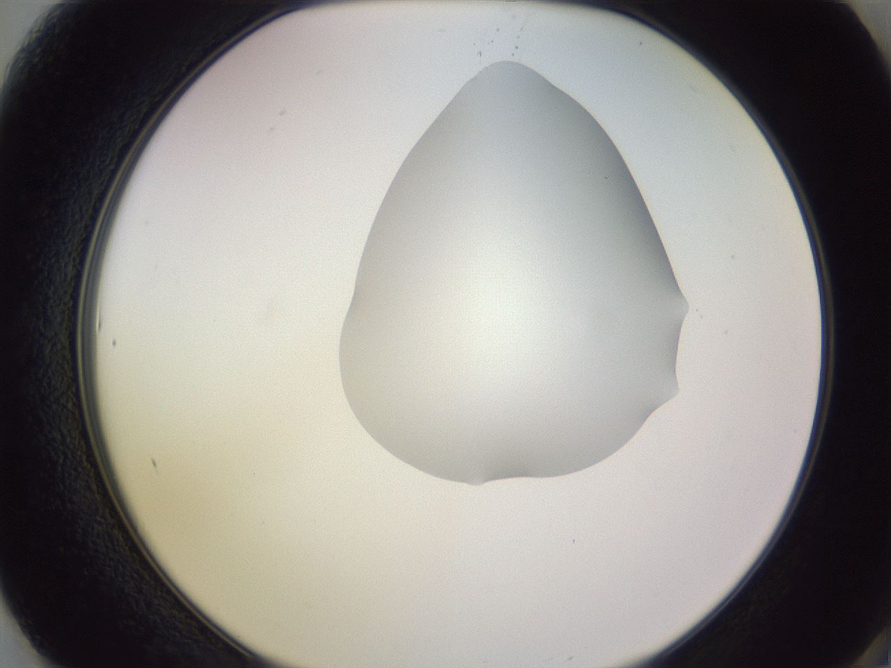 folderID277_plateID1277_batchID4166_wellNum61_profileID1_d2_r73649_ef.jpg