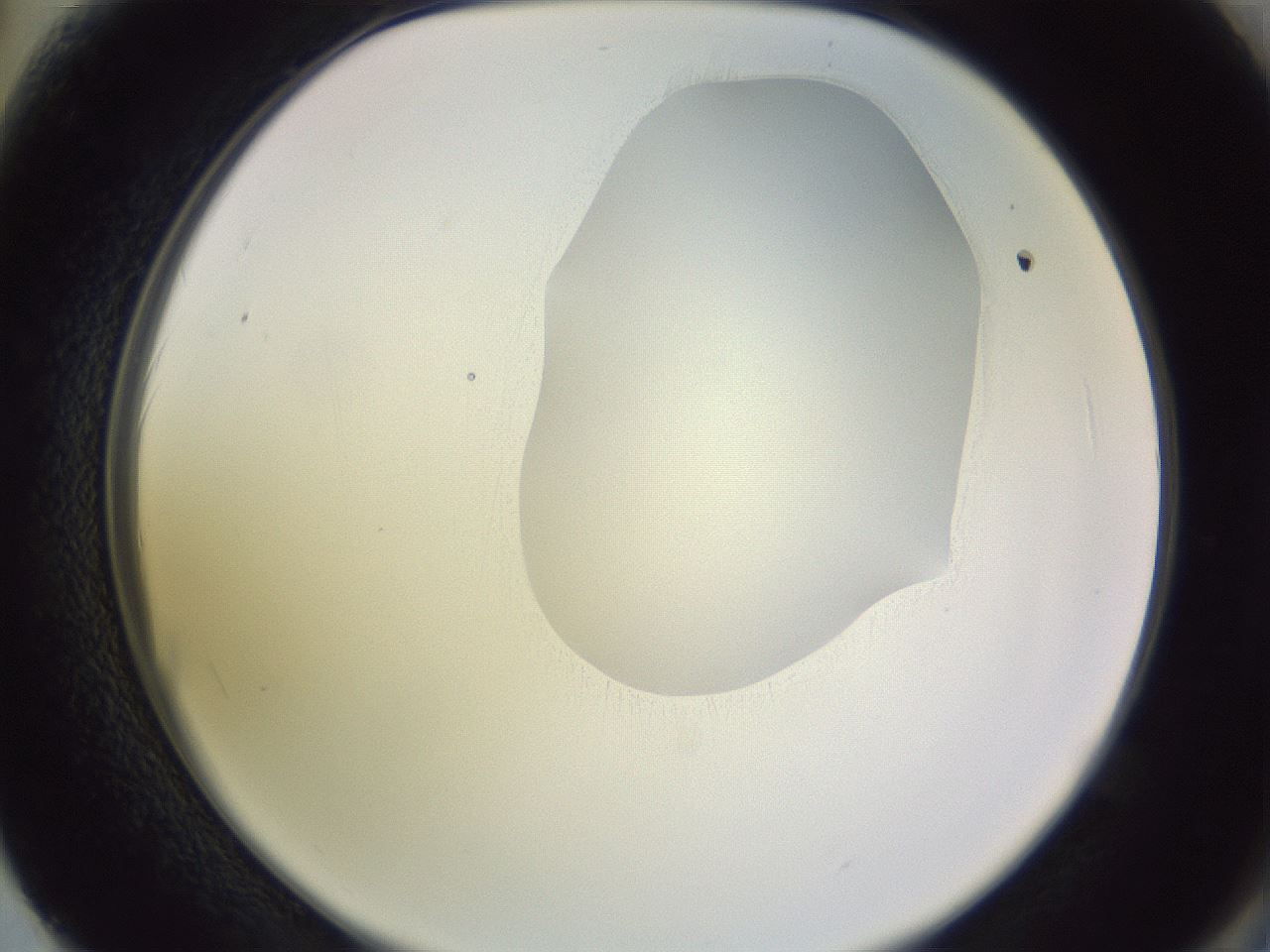 folderID277_plateID1277_batchID4166_wellNum62_profileID1_d2_r73651_ef.jpg