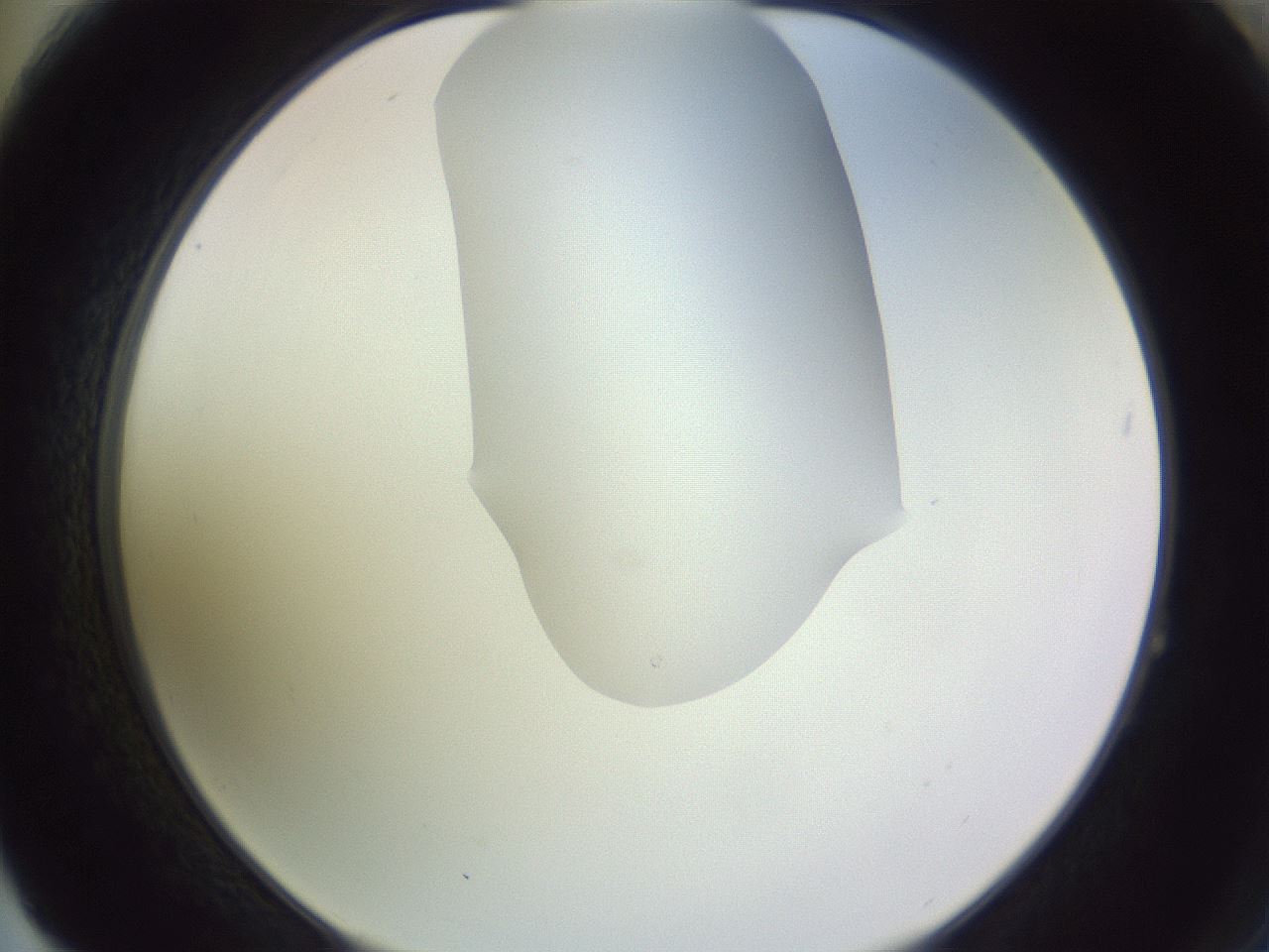 folderID277_plateID1277_batchID4166_wellNum64_profileID1_d2_r73655_ef.jpg