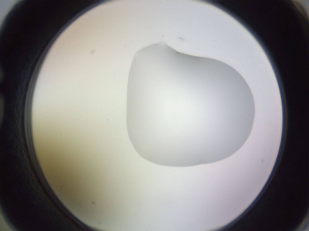 folderID277_plateID1277_batchID4166_wellNum74_profileID1_d1_r73674_ef.jpg