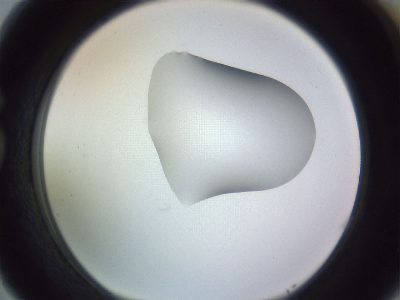 folderID277_plateID1277_batchID4166_wellNum77_profileID1_d1_r73680_ef.jpg