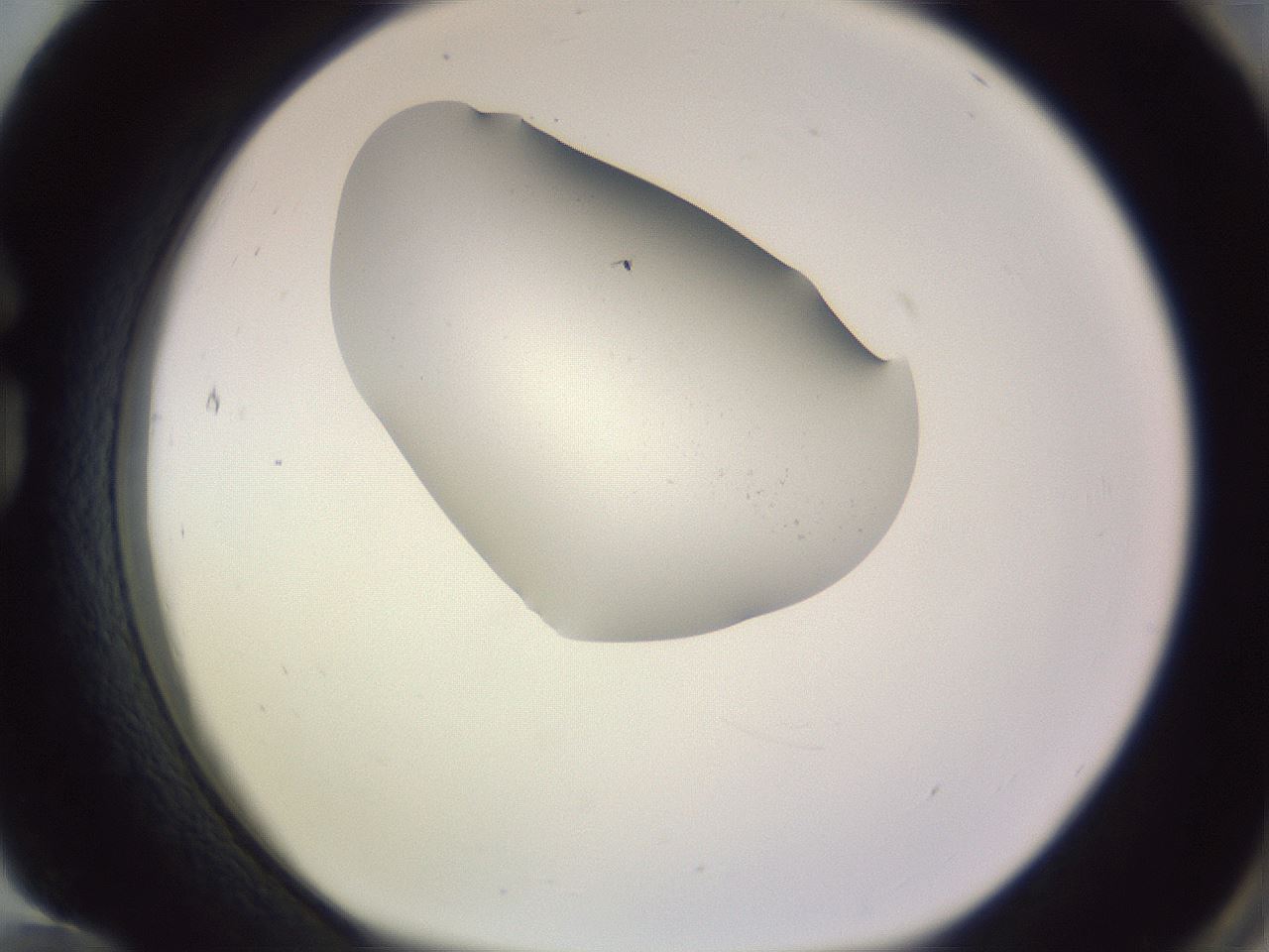 folderID277_plateID1277_batchID4166_wellNum84_profileID1_d1_r73694_ef.jpg