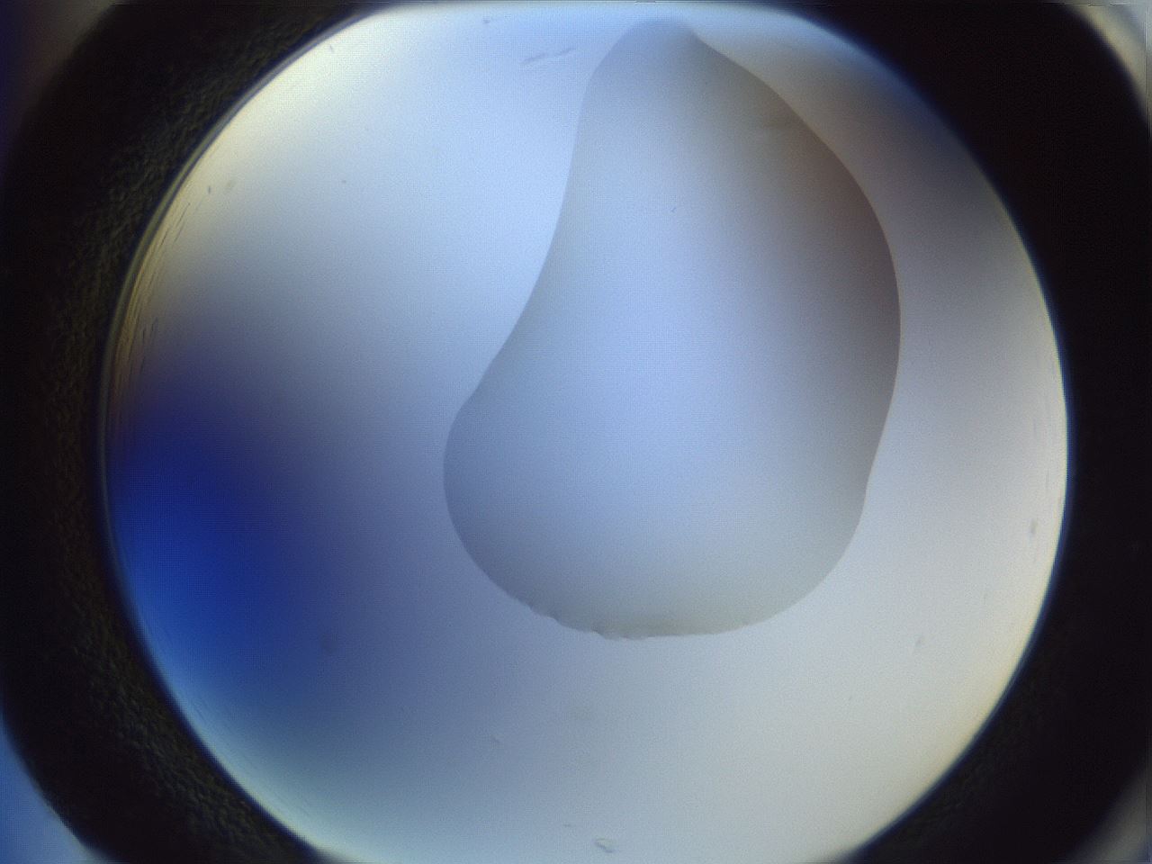 folderID277_plateID1277_batchID4166_wellNum85_profileID1_d2_r73697_ef.jpg