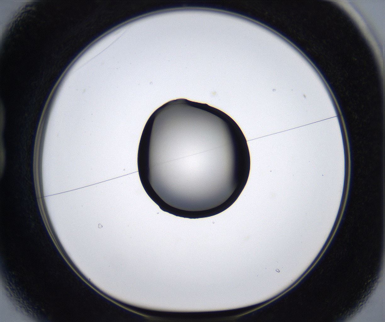 folderID277_plateID2277_batchID10784_wellNum13_profileID1_d1_r158662_ef.jpg