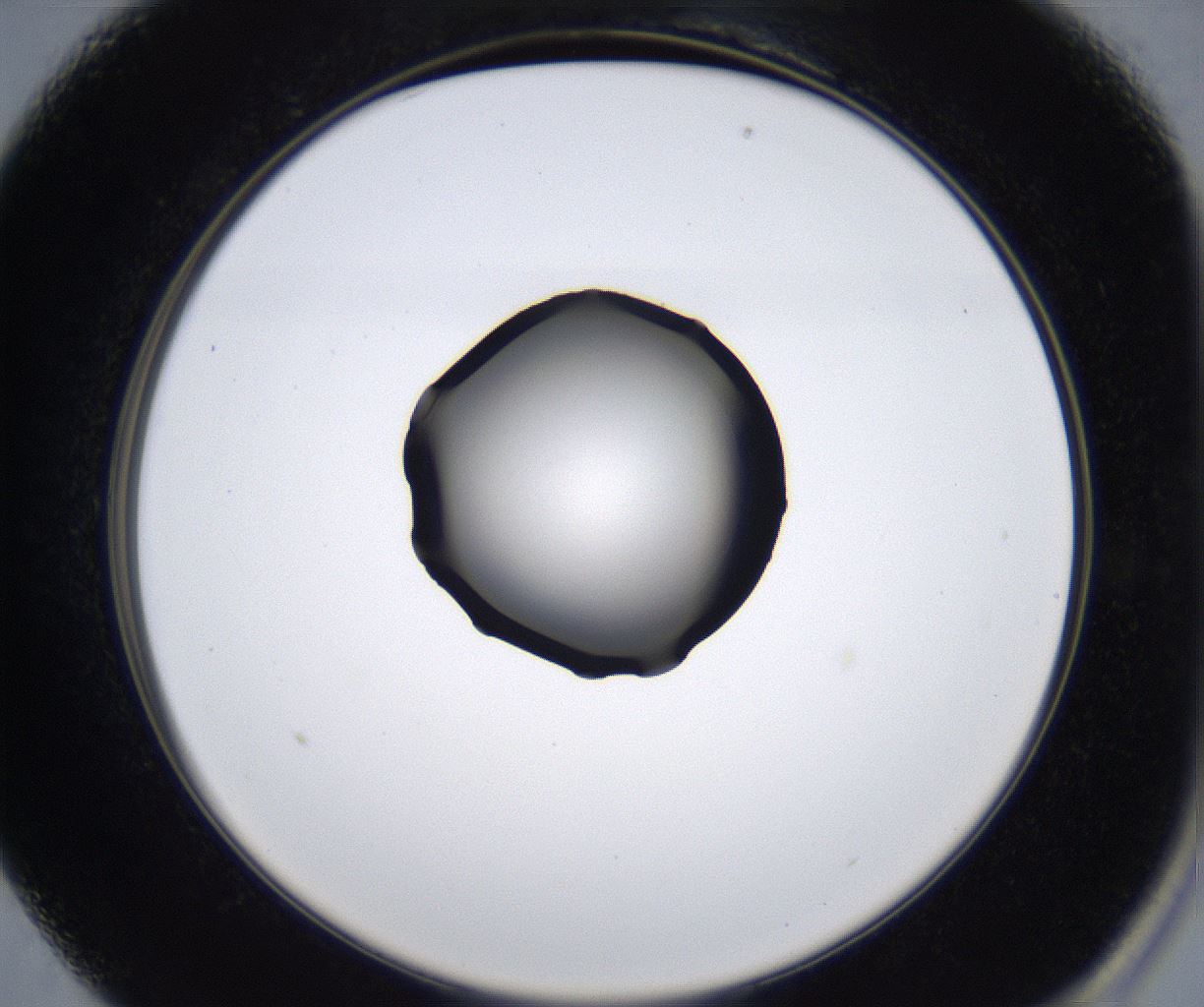 folderID277_plateID2277_batchID10784_wellNum13_profileID1_d2_r158663_ef.jpg