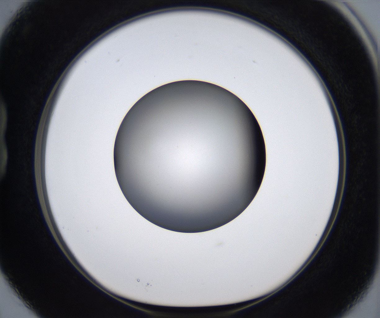 folderID277_plateID2277_batchID10784_wellNum15_profileID1_d1_r158666_ef.jpg