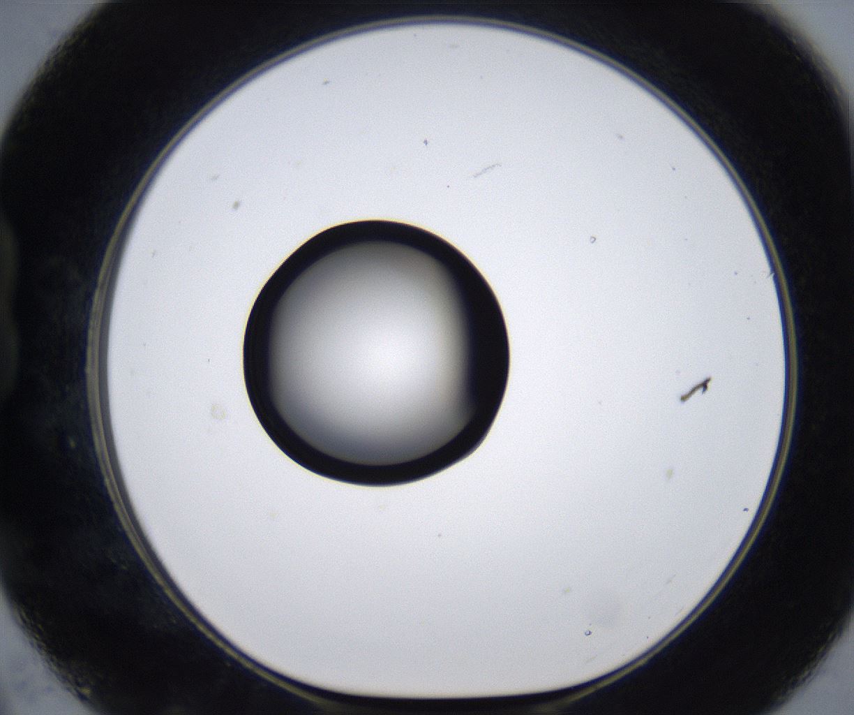 folderID277_plateID2277_batchID10784_wellNum21_profileID1_d1_r158678_ef.jpg