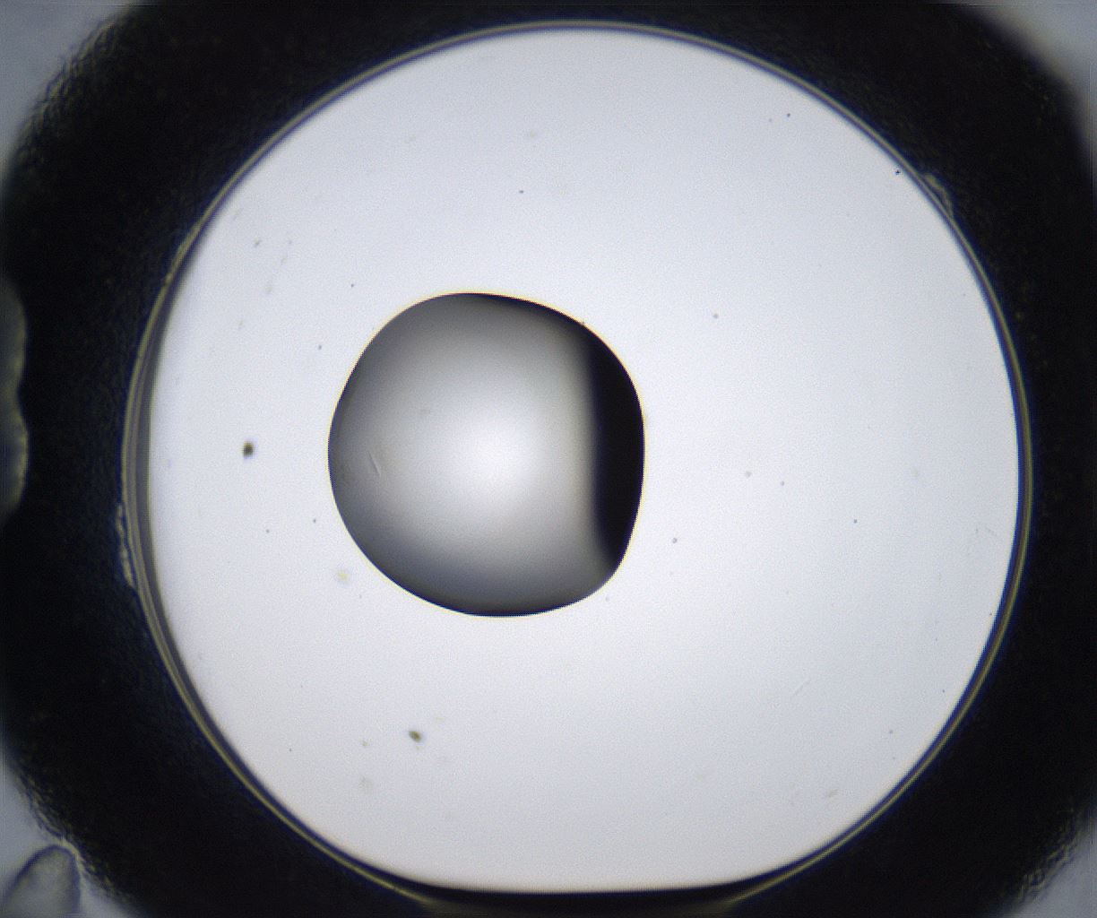 folderID277_plateID2277_batchID10784_wellNum23_profileID1_d1_r158682_ef.jpg