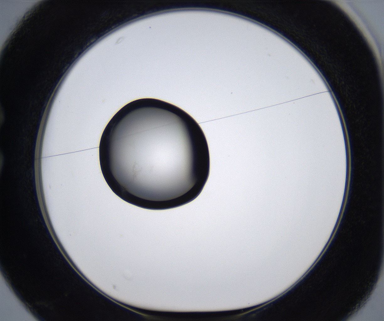 folderID277_plateID2277_batchID10784_wellNum25_profileID1_d1_r158686_ef.jpg