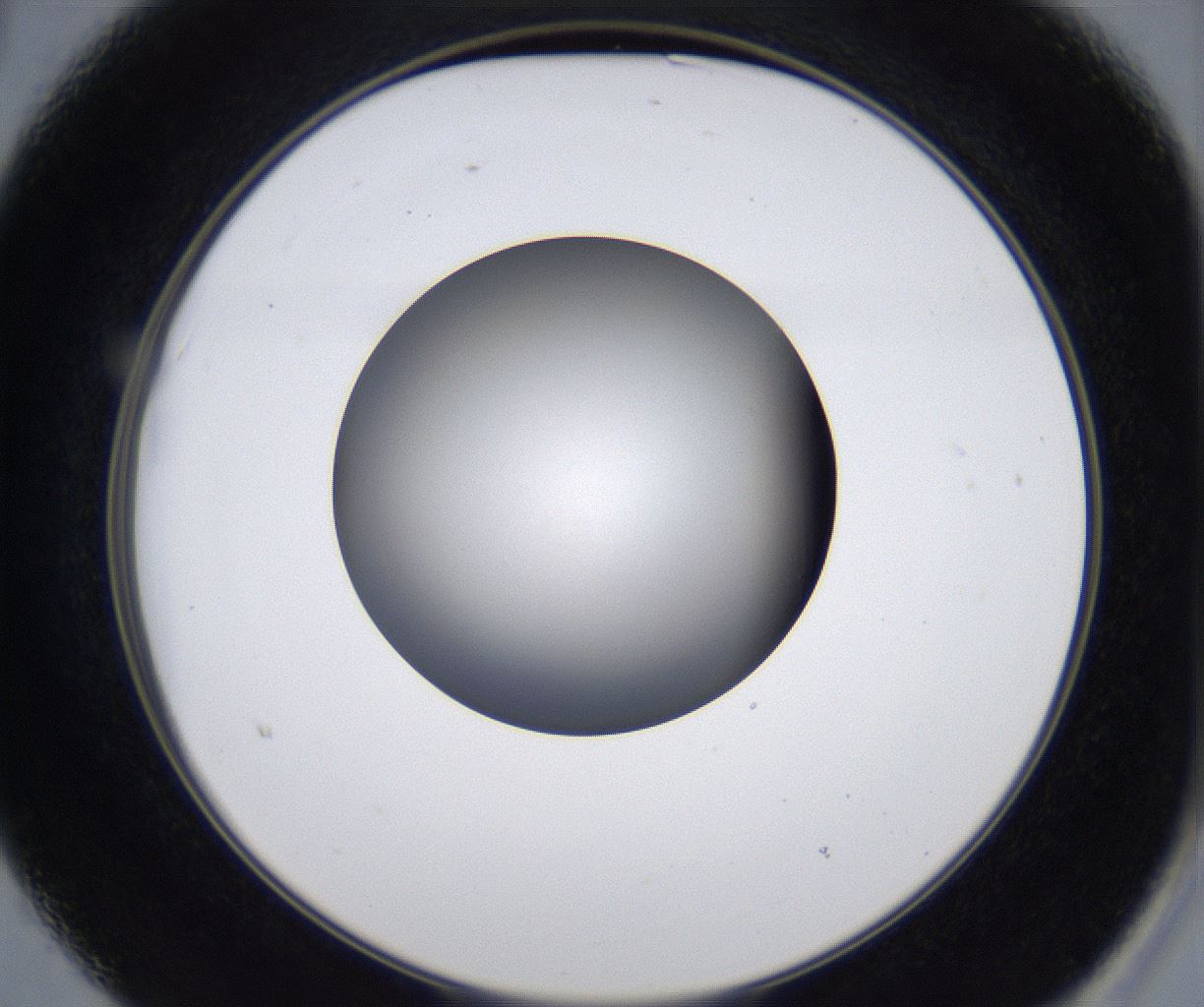 folderID277_plateID2277_batchID10784_wellNum15_profileID1_d2_r158667_ef.jpg