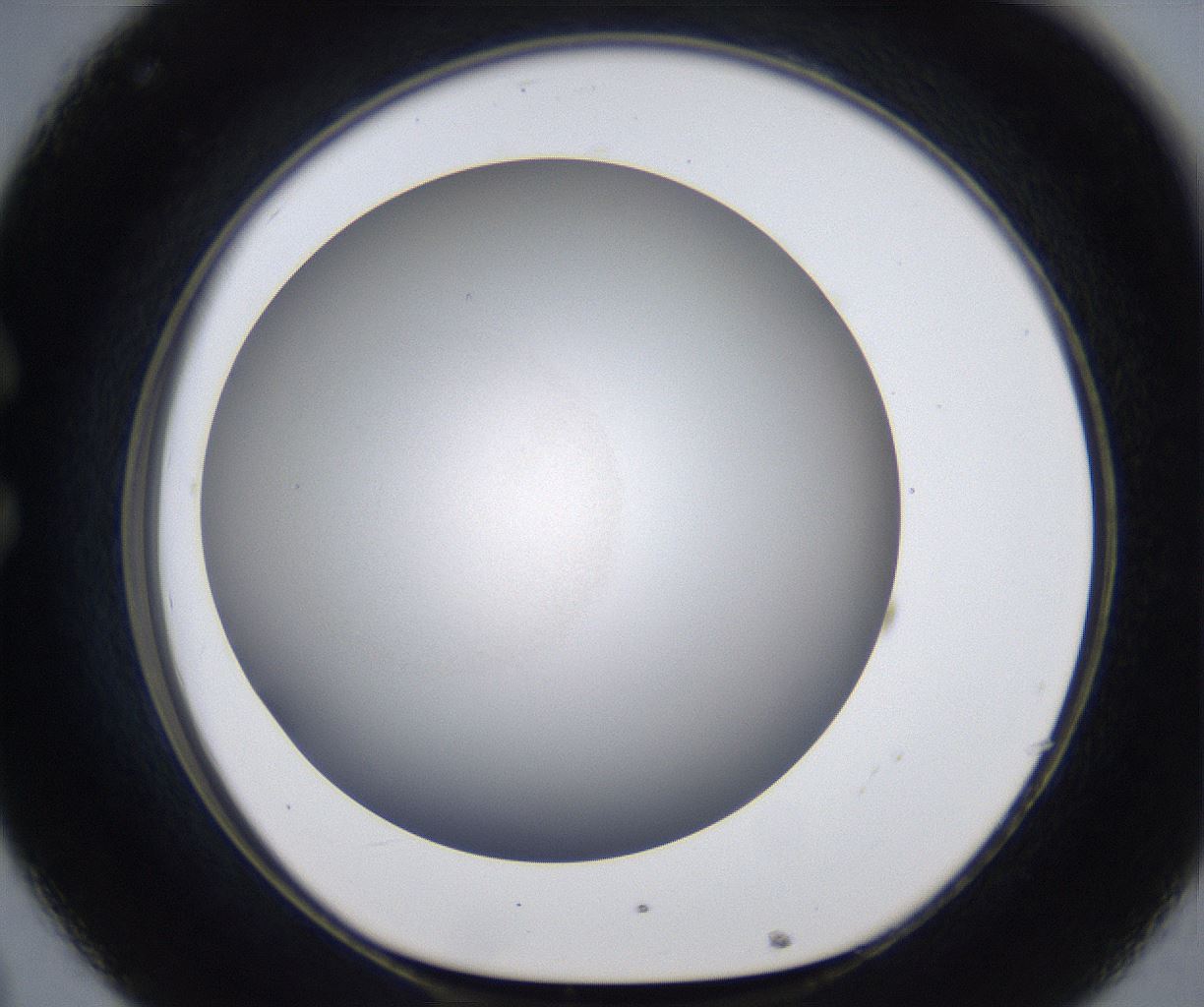 folderID277_plateID2277_batchID10784_wellNum32_profileID1_d1_r158700_ef.jpg