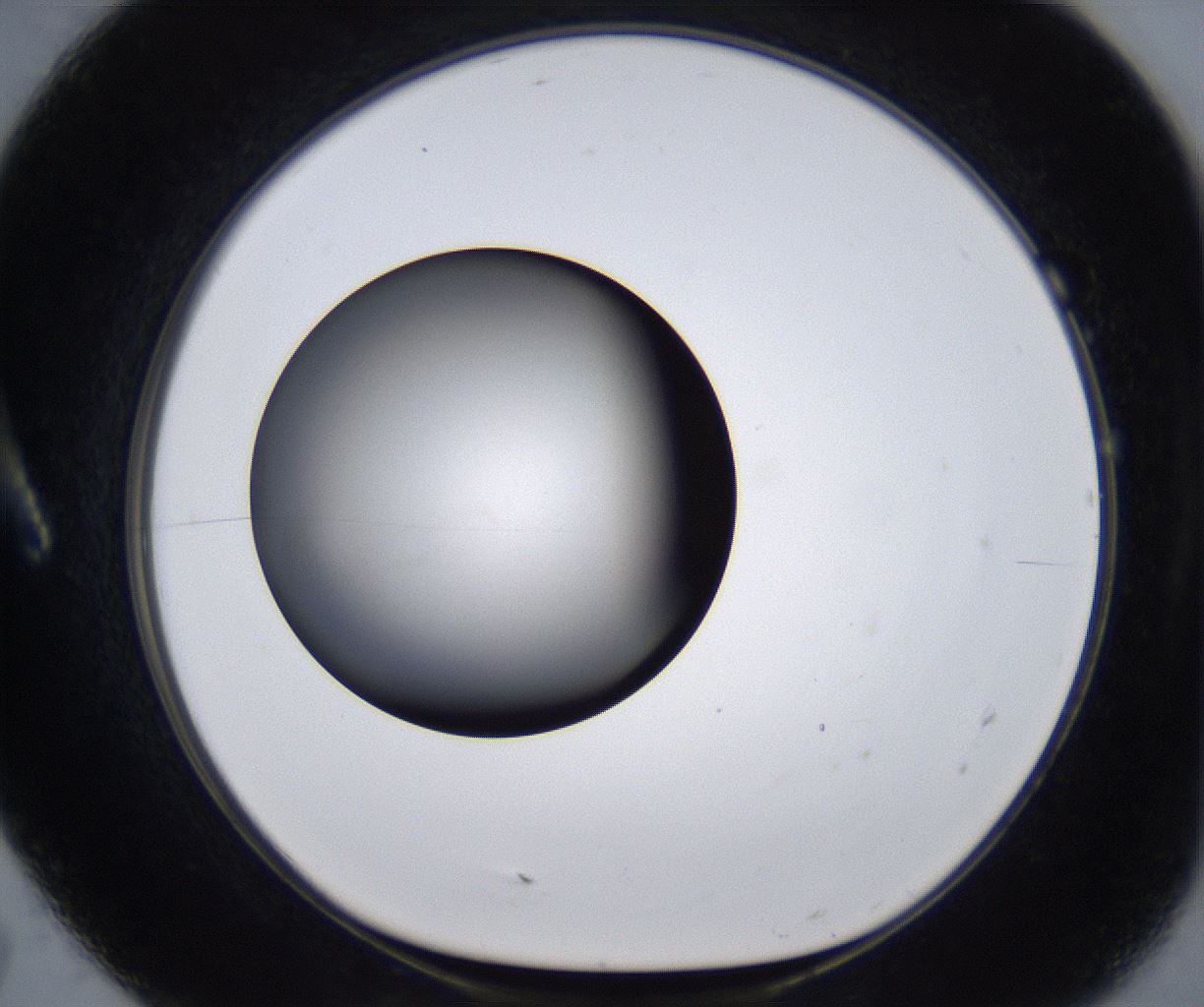 folderID277_plateID2277_batchID10784_wellNum7_profileID1_d1_r158650_ef.jpg