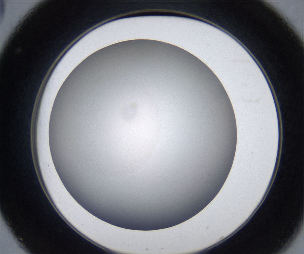 folderID277_plateID2277_batchID10784_wellNum32_profileID1_d2_r158701_ef.jpg