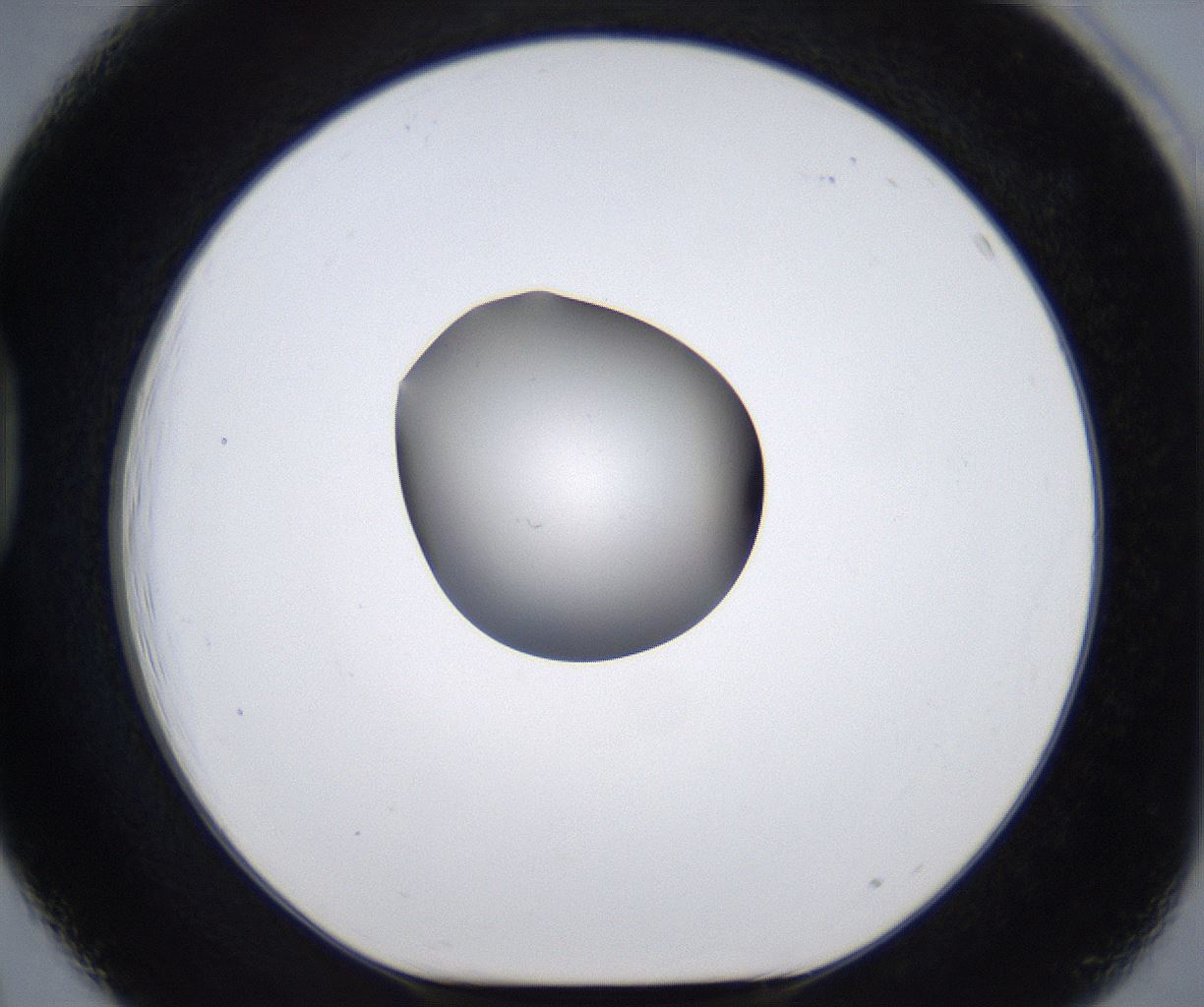 folderID277_plateID2277_batchID10784_wellNum39_profileID1_d1_r158714_ef.jpg