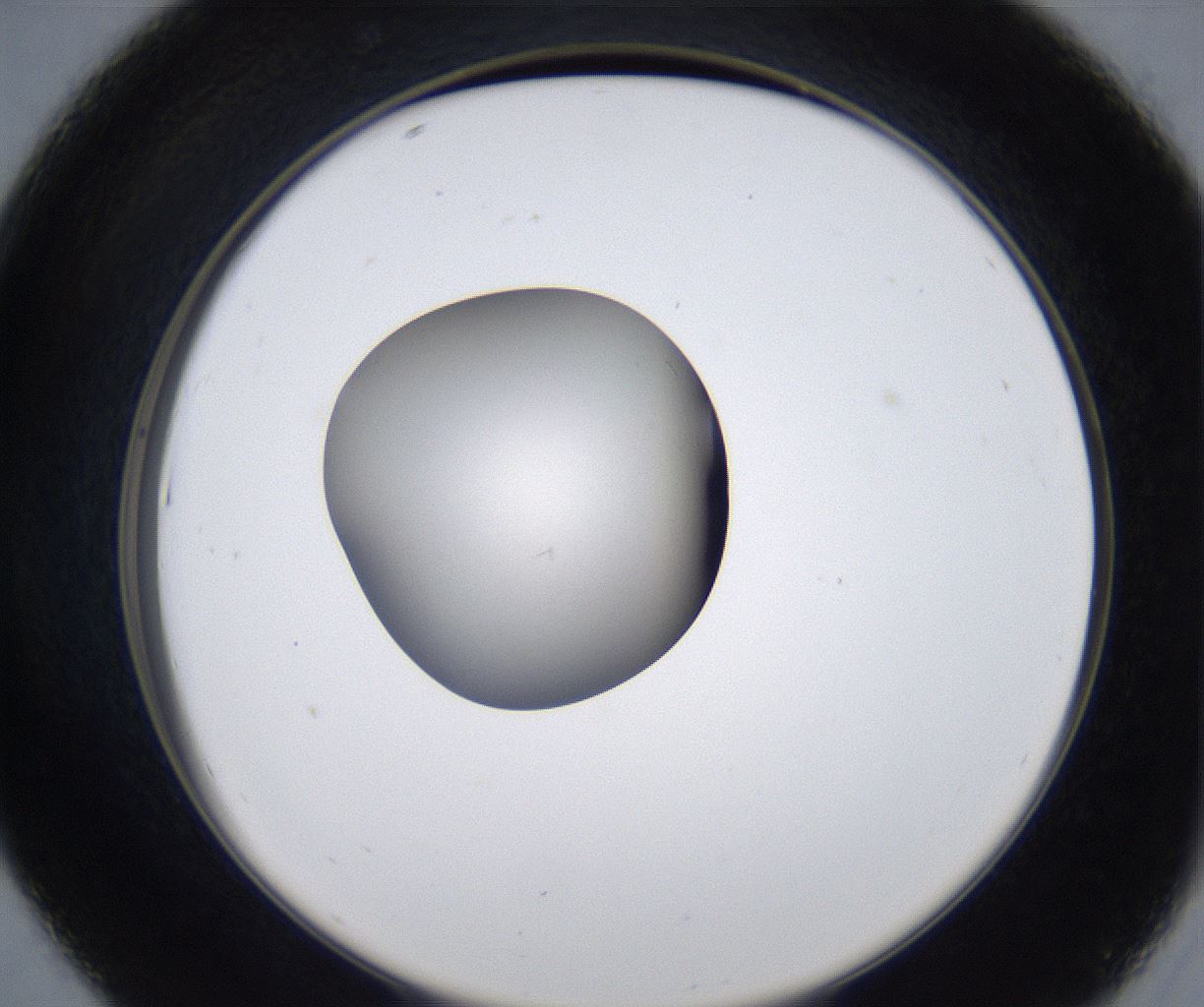 folderID277_plateID2277_batchID10784_wellNum43_profileID1_d2_r158723_ef.jpg