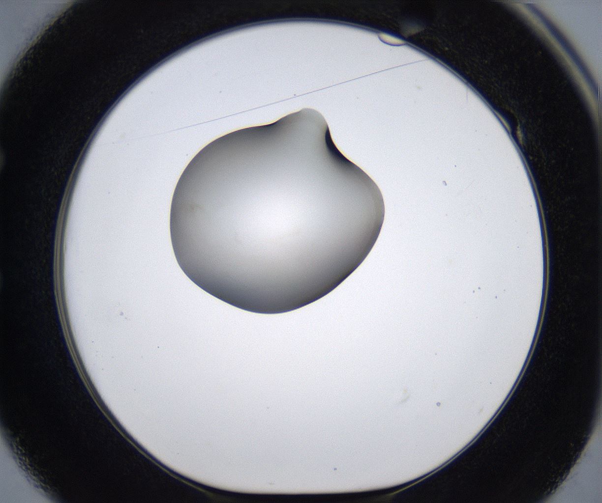 folderID277_plateID2277_batchID10784_wellNum49_profileID1_d1_r158734_ef.jpg