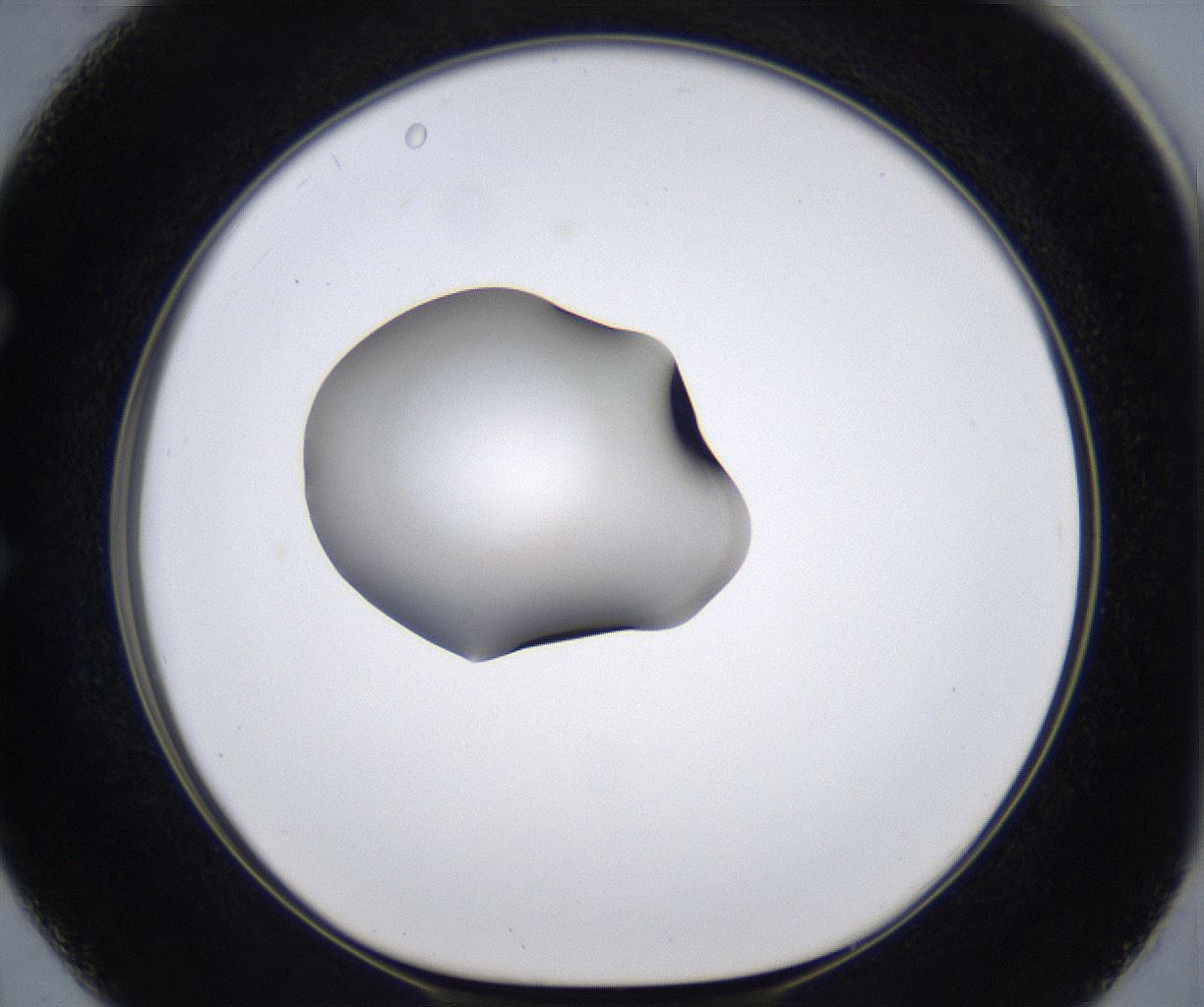 folderID277_plateID2277_batchID10784_wellNum50_profileID1_d1_r158736_ef.jpg