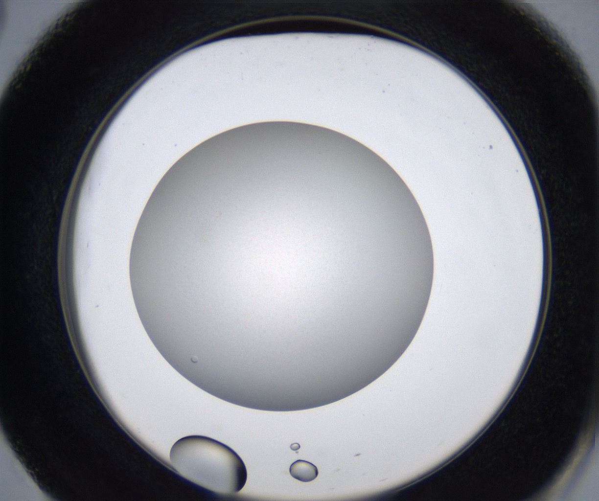 folderID277_plateID2277_batchID10784_wellNum51_profileID1_d2_r158739_ef.jpg