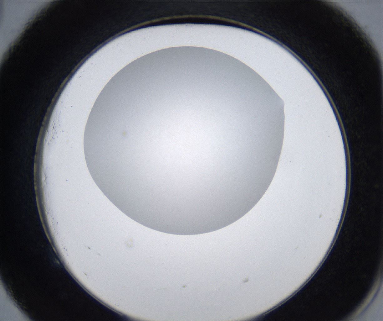 folderID277_plateID2277_batchID10784_wellNum53_profileID1_d2_r158743_ef.jpg