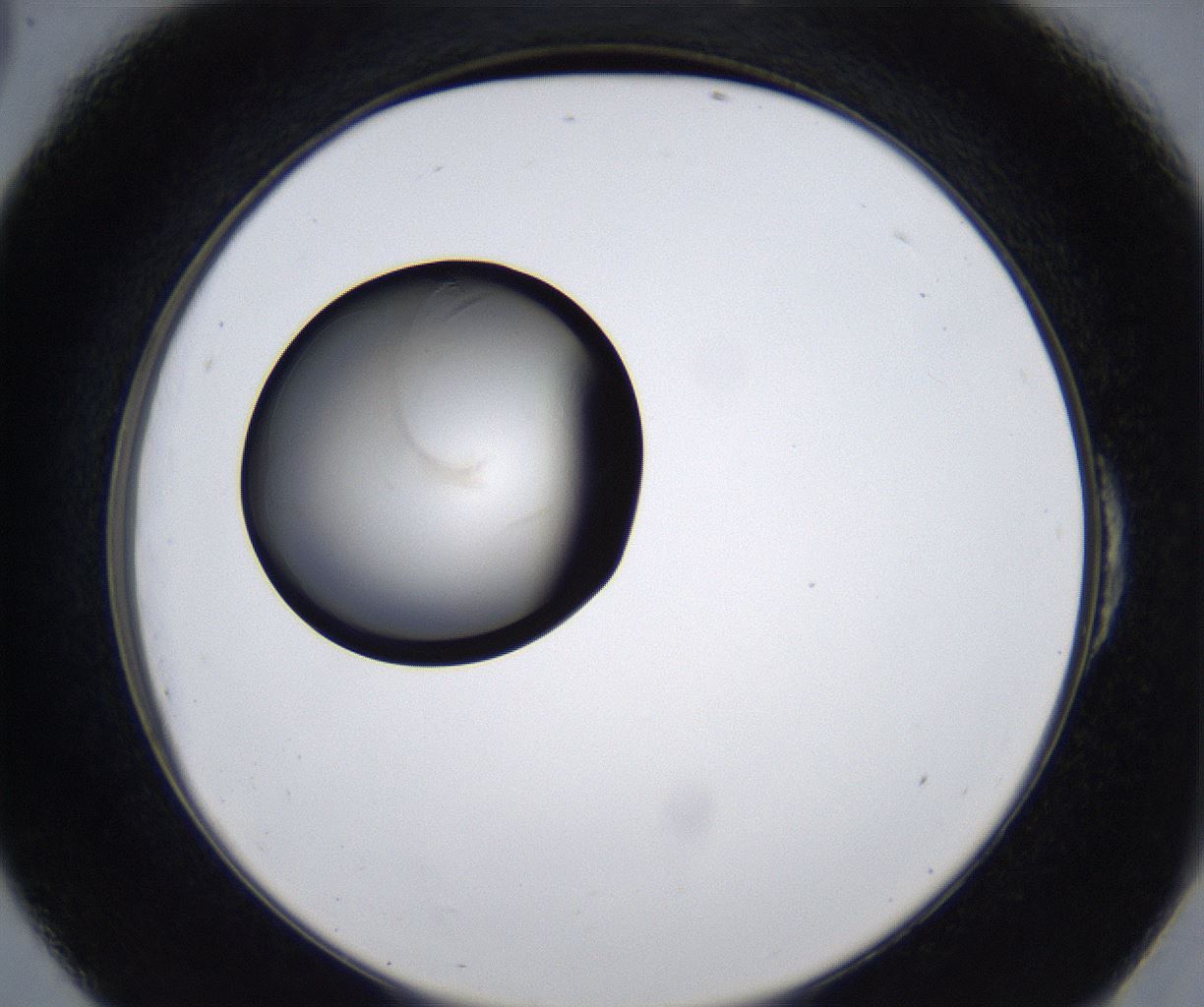 folderID277_plateID2277_batchID10784_wellNum54_profileID1_d2_r158745_ef.jpg