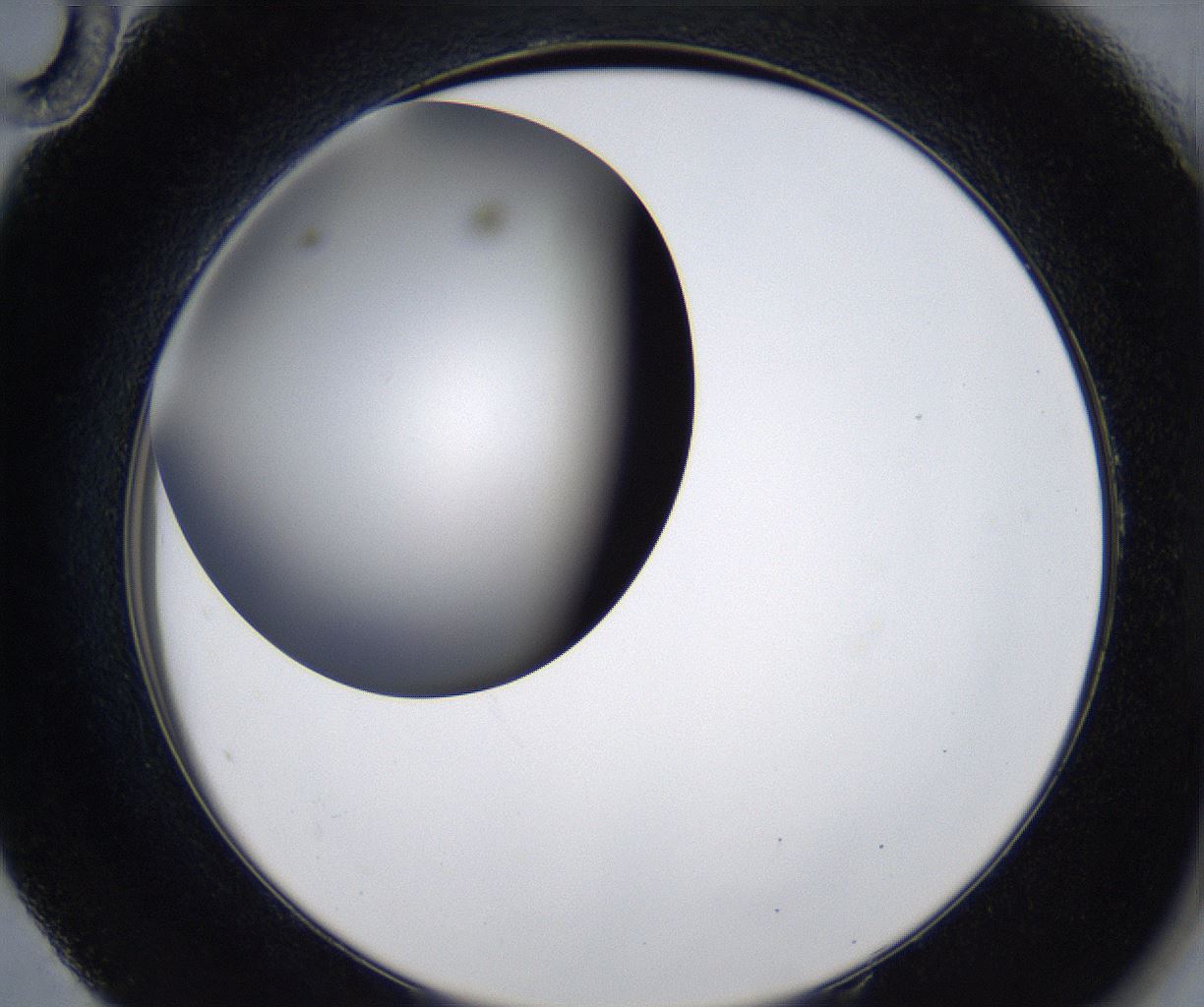 folderID277_plateID2277_batchID10784_wellNum58_profileID1_d2_r158753_ef.jpg