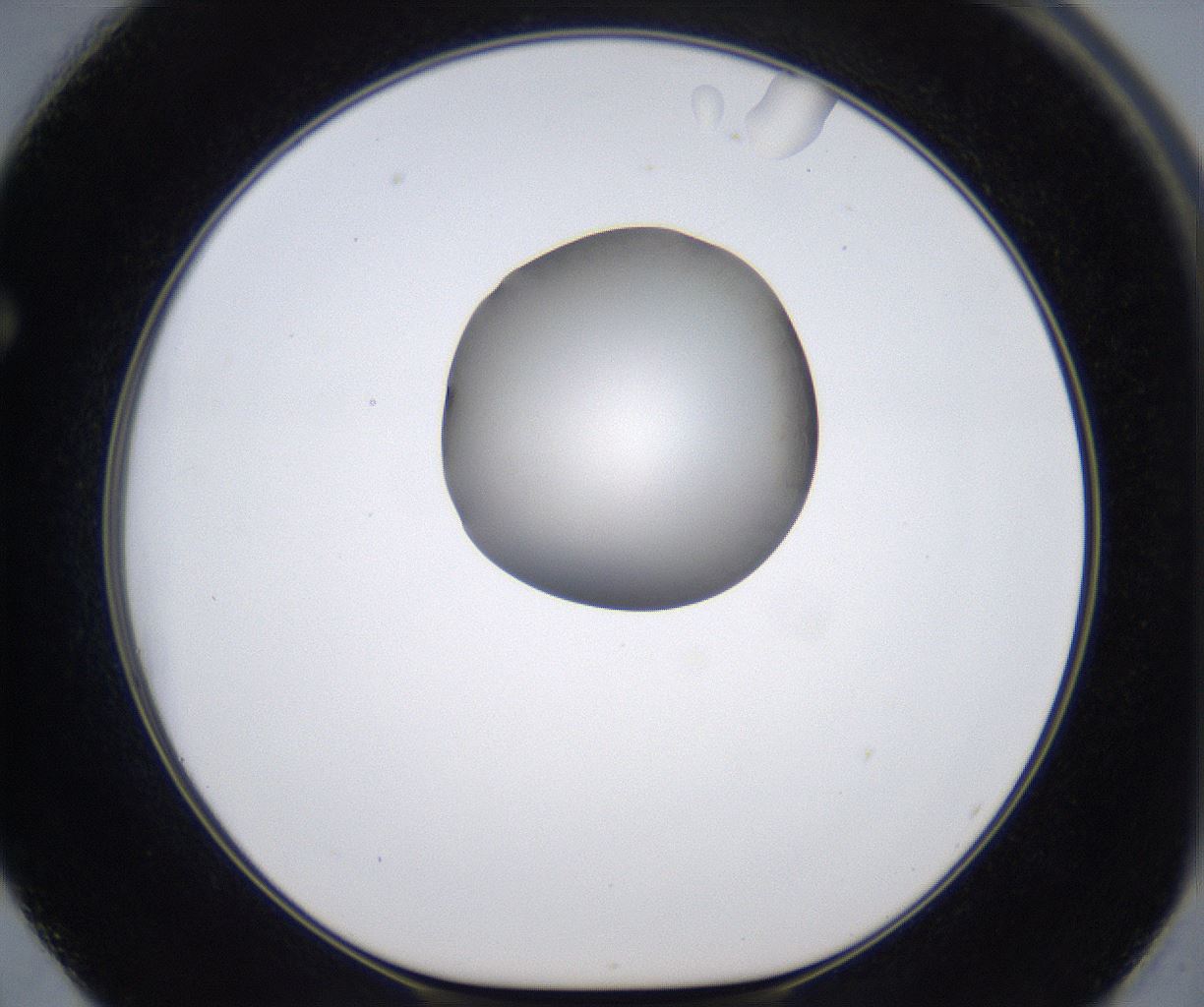 folderID277_plateID2277_batchID10784_wellNum62_profileID1_d1_r158760_ef.jpg