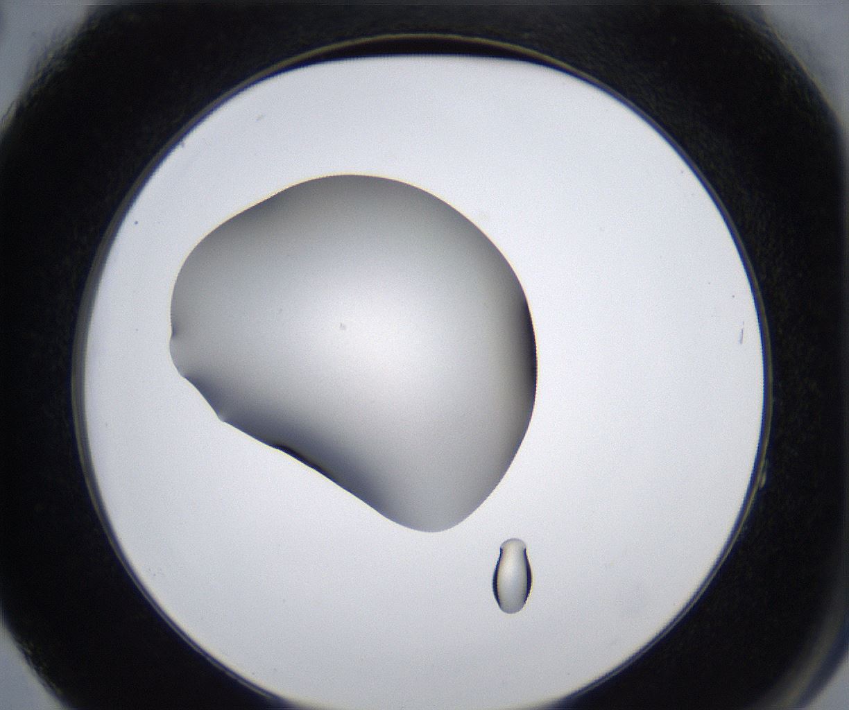 folderID277_plateID2277_batchID10784_wellNum64_profileID1_d2_r158765_ef.jpg