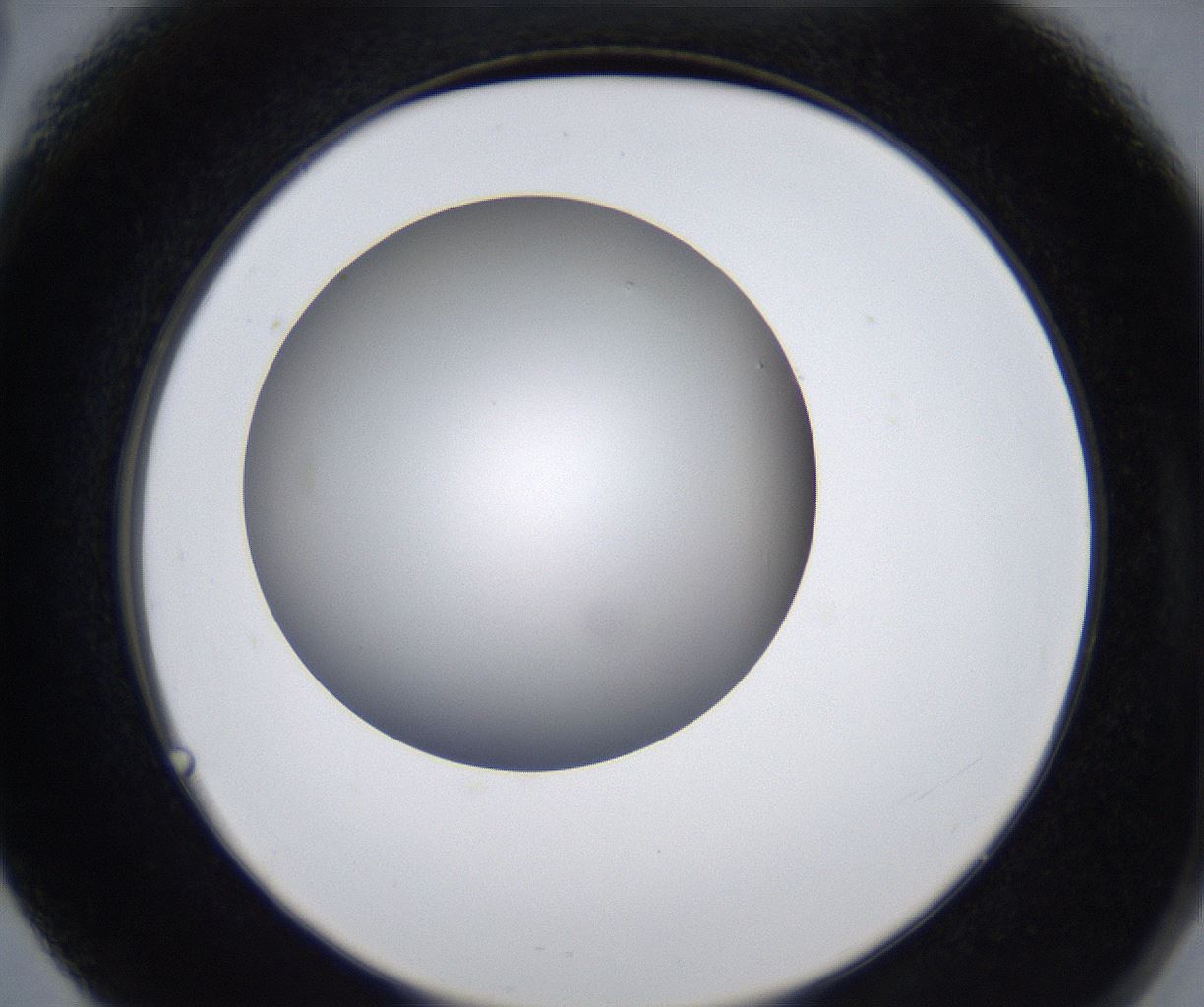 folderID277_plateID2277_batchID10784_wellNum66_profileID1_d2_r158769_ef.jpg