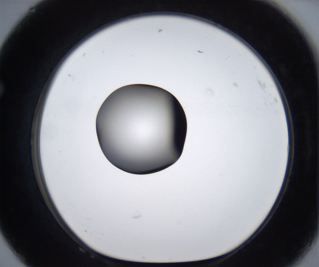 folderID277_plateID2277_batchID10784_wellNum68_profileID1_d1_r158772_ef.jpg