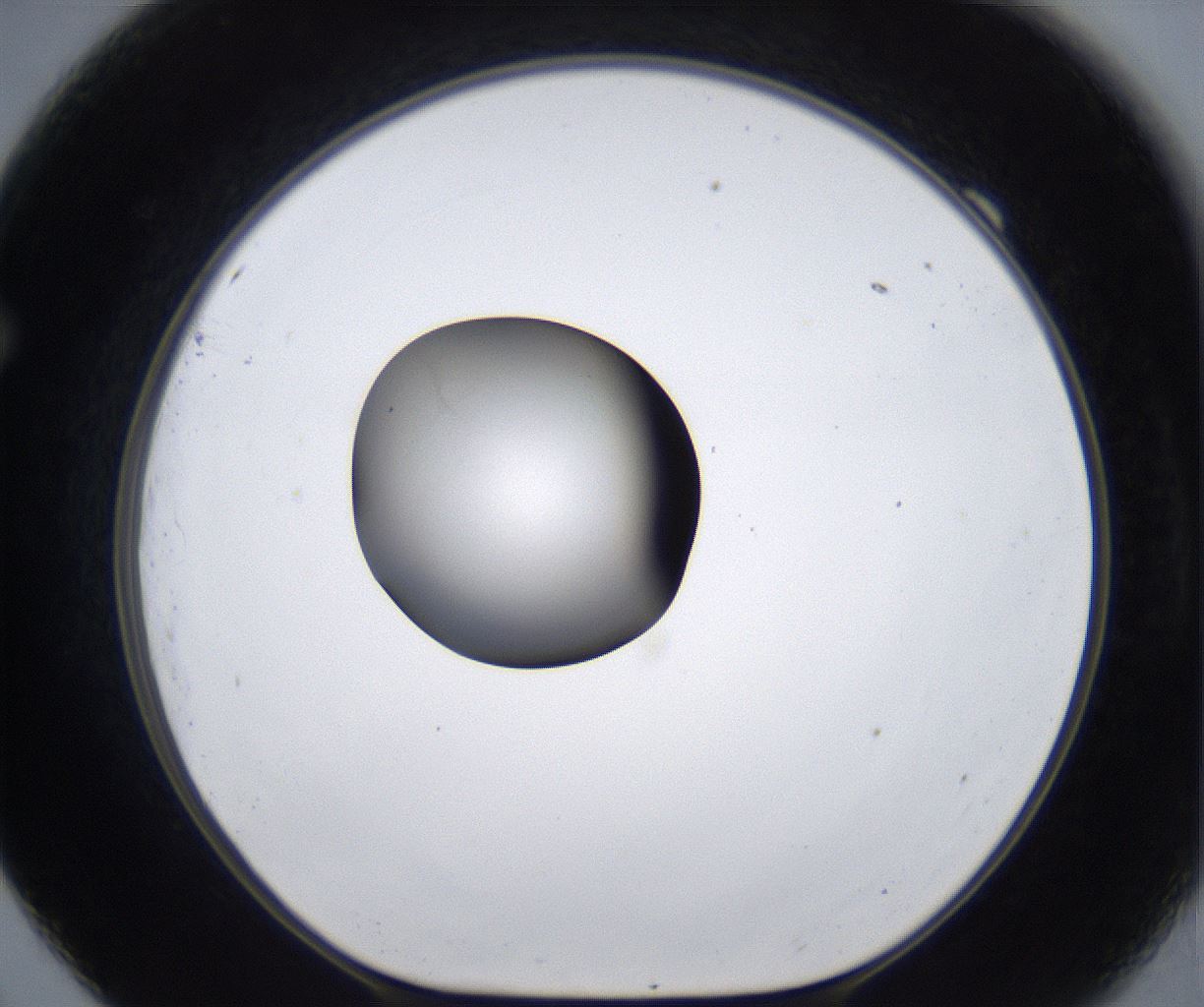 folderID277_plateID2277_batchID10784_wellNum69_profileID1_d1_r158774_ef.jpg