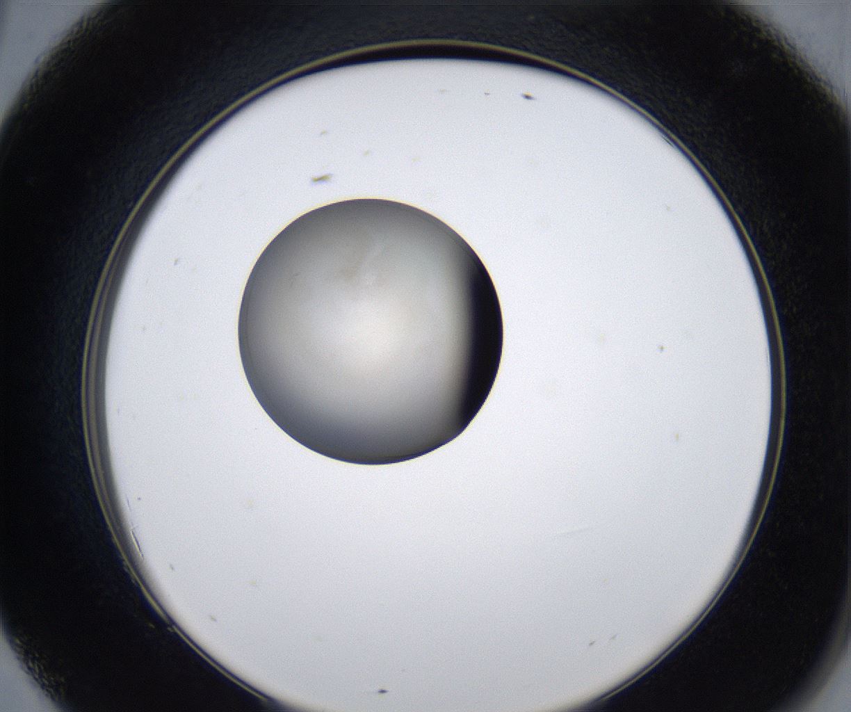 folderID277_plateID2277_batchID10784_wellNum69_profileID1_d2_r158775_ef.jpg