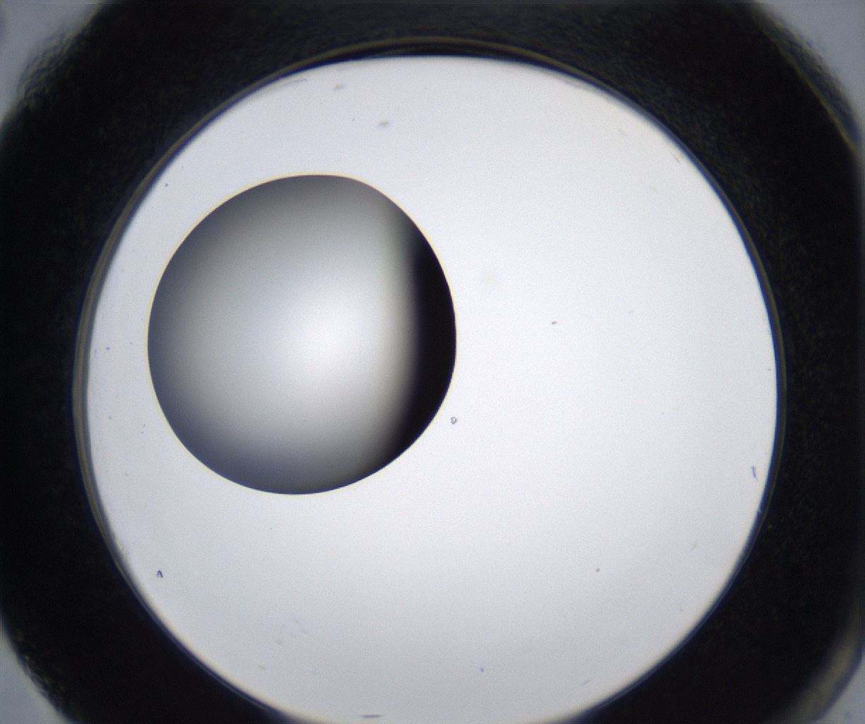 folderID277_plateID2277_batchID10784_wellNum76_profileID1_d2_r158789_ef.jpg