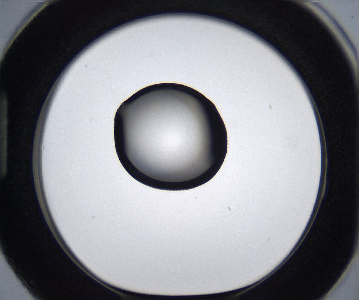folderID277_plateID2277_batchID10784_wellNum87_profileID1_d1_r158810_ef.jpg