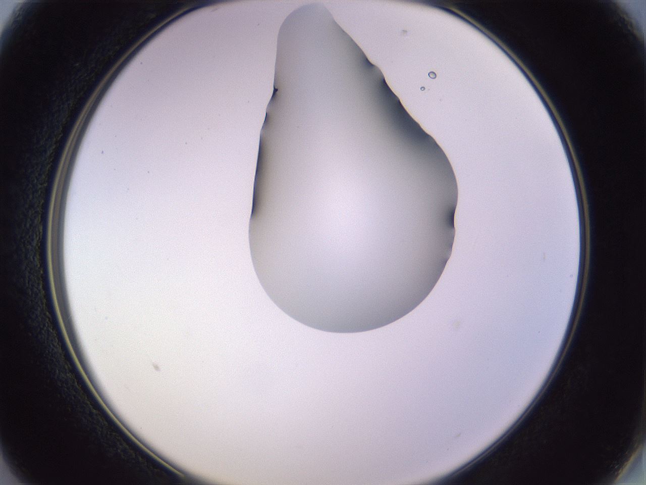 folderID278_plateID1278_batchID4168_wellNum13_profileID1_d2_r74129_ef.jpg
