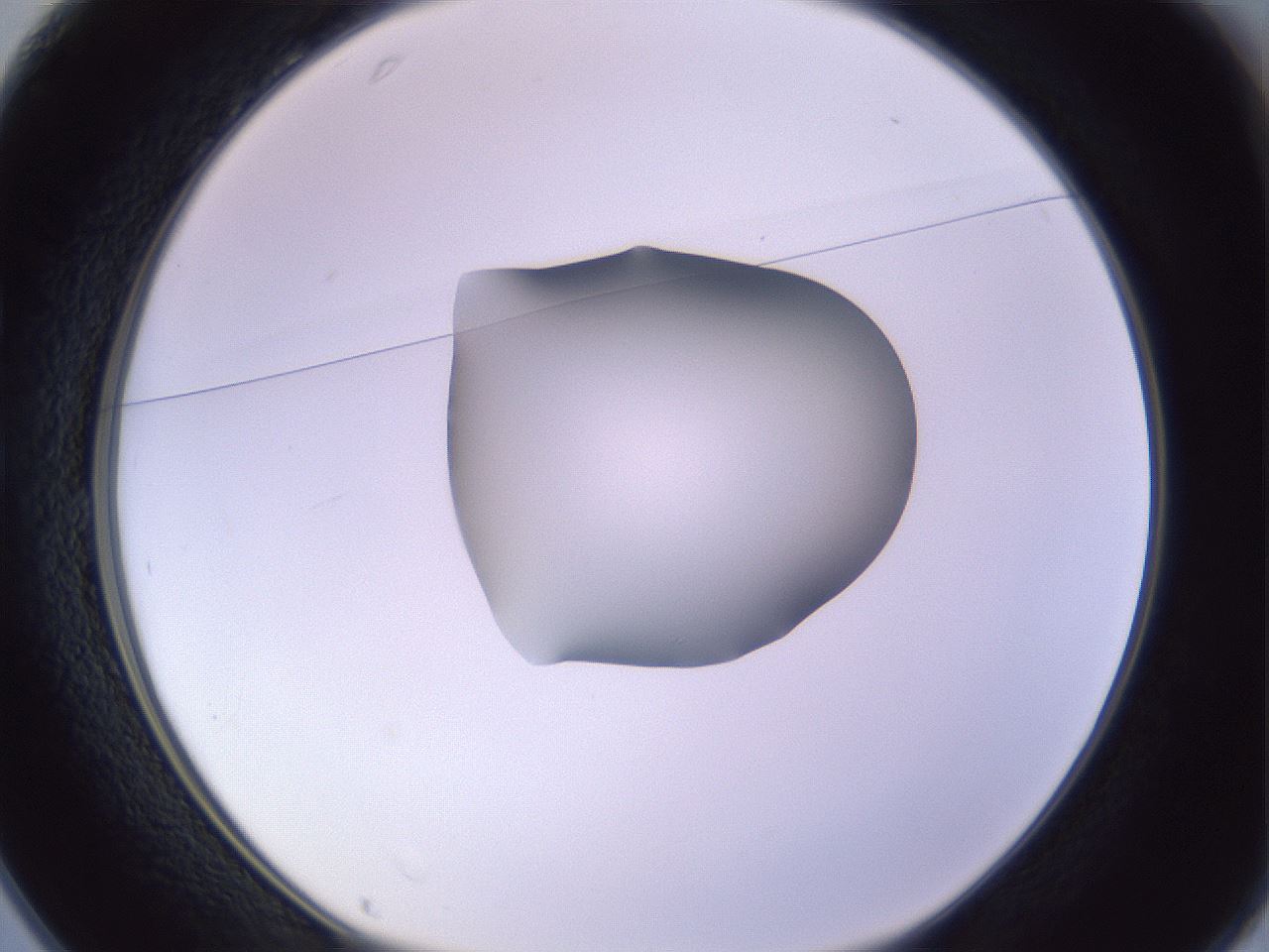 folderID278_plateID1278_batchID4168_wellNum25_profileID1_d1_r74152_ef.jpg