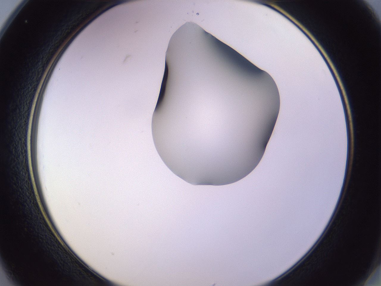 folderID278_plateID1278_batchID4168_wellNum25_profileID1_d2_r74153_ef.jpg