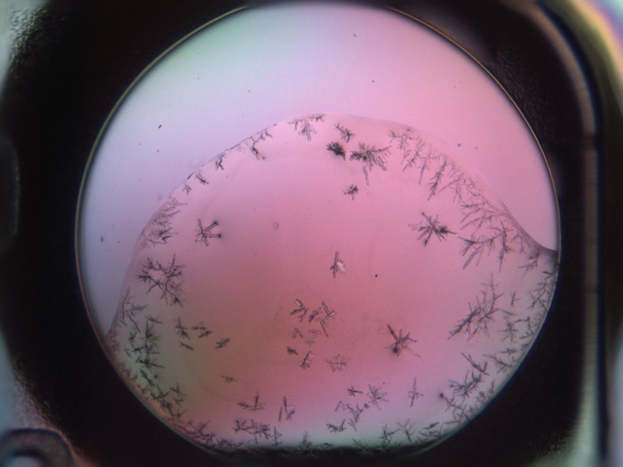 02k7_D12_ImagerDefaults_7.jpg