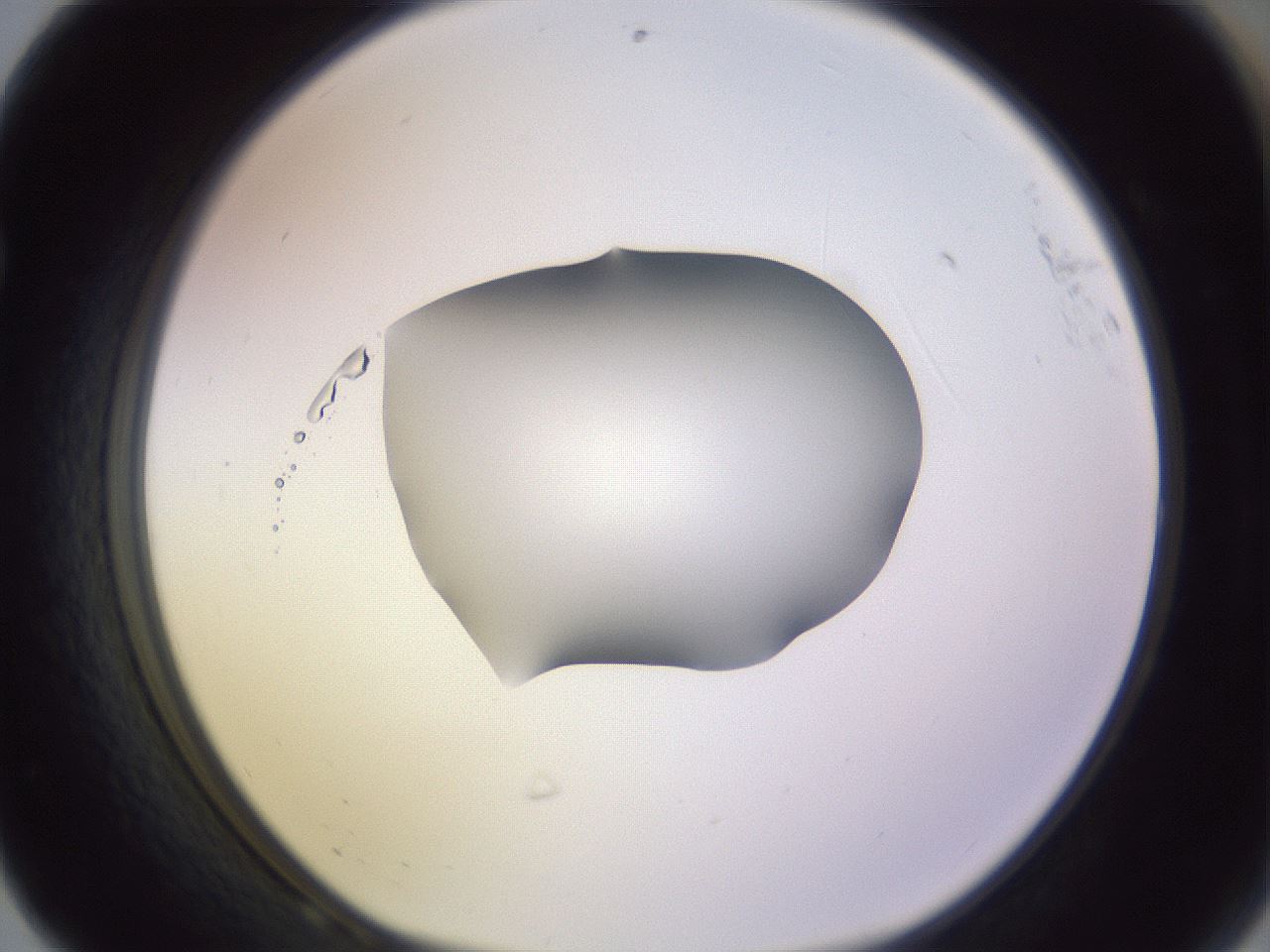 folderID278_plateID1278_batchID4168_wellNum68_profileID1_d1_r74238_ef.jpg