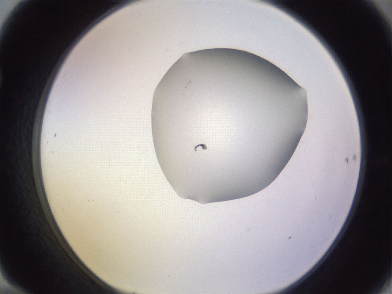 folderID278_plateID1278_batchID4168_wellNum70_profileID1_d1_r74242_ef.jpg