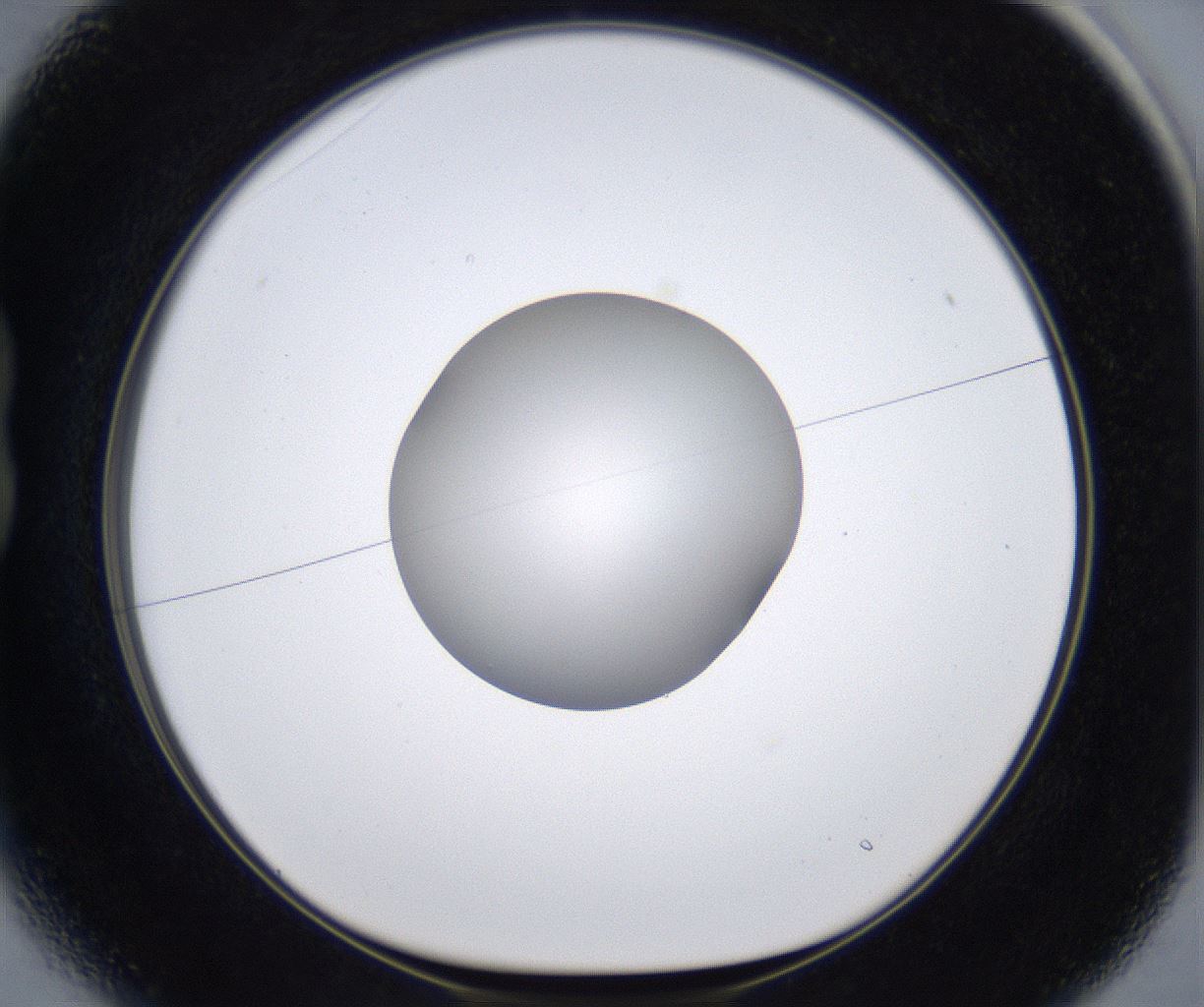folderID278_plateID2278_batchID10787_wellNum13_profileID1_d1_r158854_ef.jpg