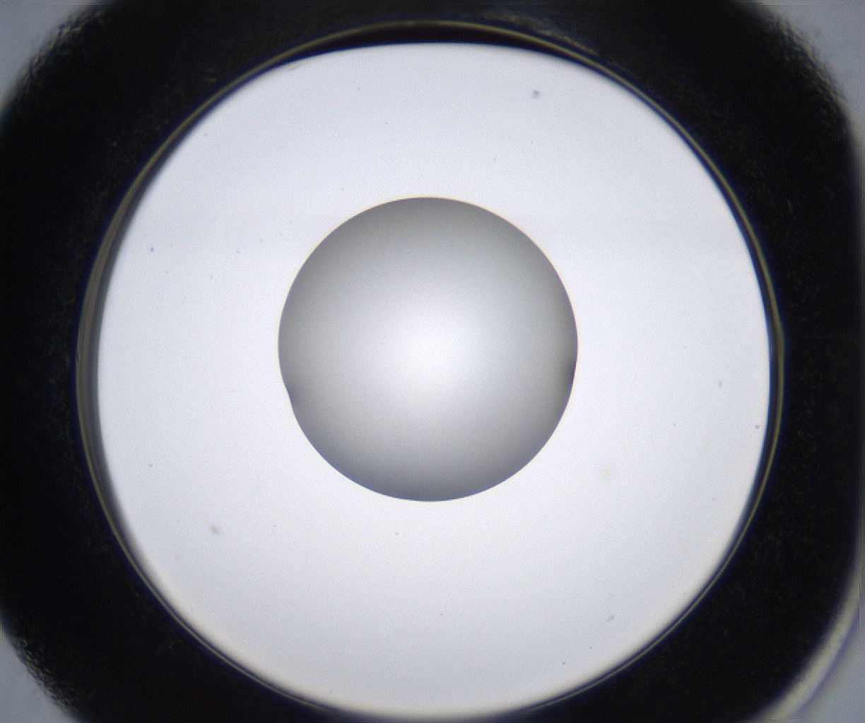 folderID278_plateID2278_batchID10787_wellNum13_profileID1_d2_r158855_ef.jpg