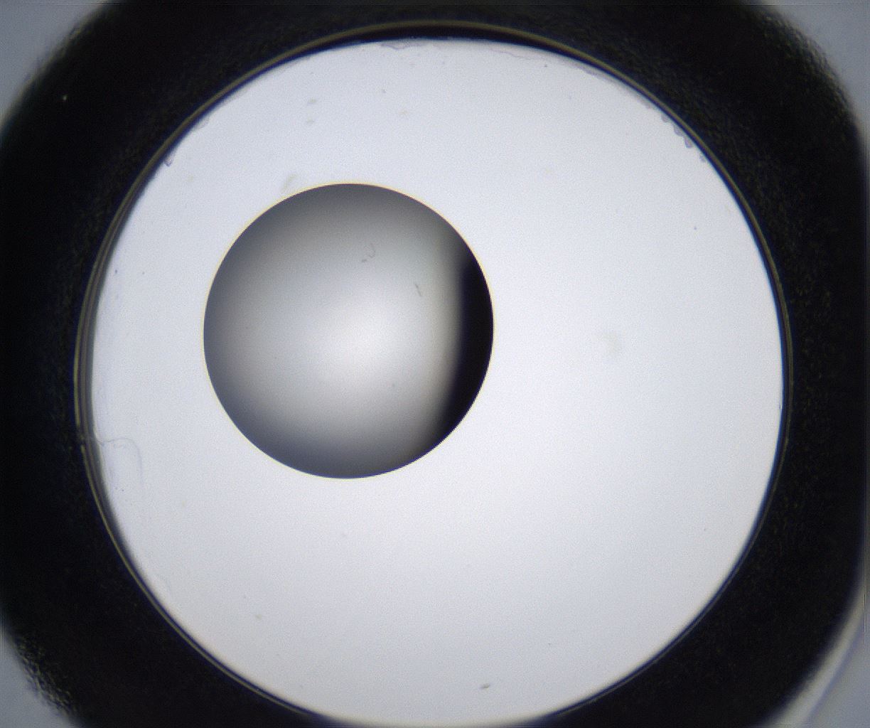 folderID278_plateID2278_batchID10787_wellNum25_profileID1_d2_r158879_ef.jpg