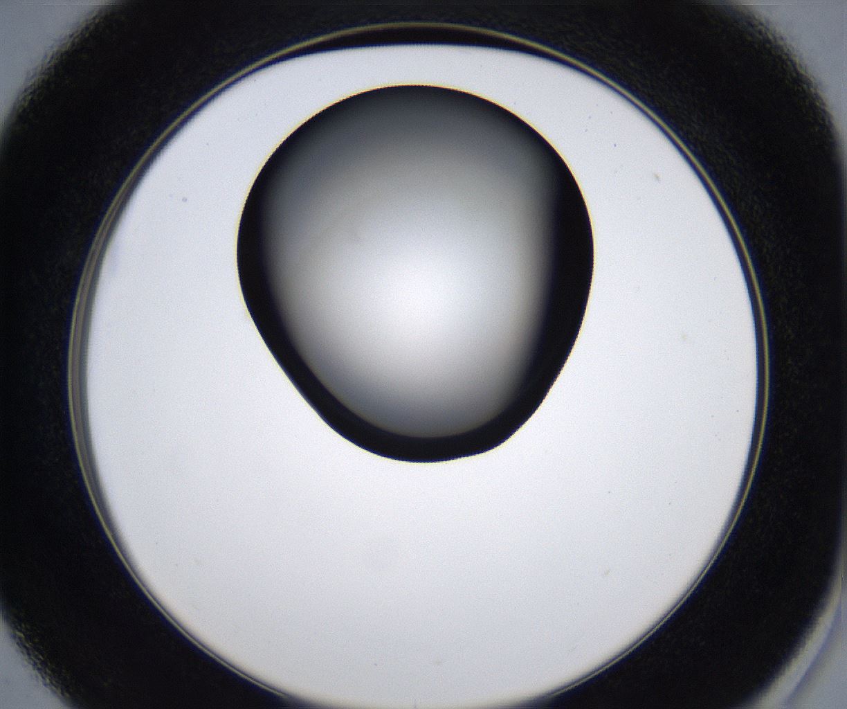 folderID278_plateID2278_batchID10787_wellNum37_profileID1_d2_r158903_ef.jpg