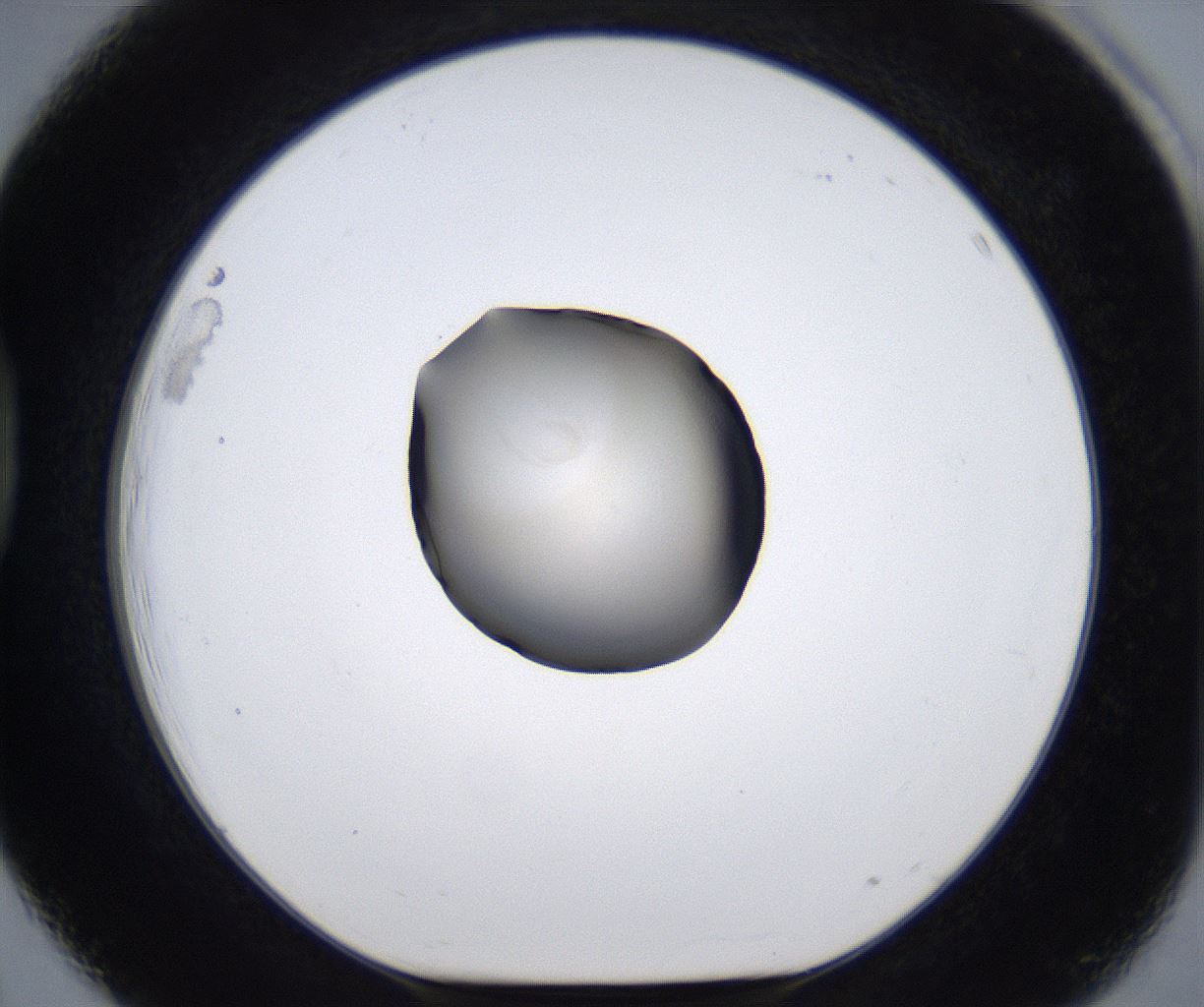 folderID278_plateID2278_batchID10787_wellNum39_profileID1_d1_r158906_ef.jpg