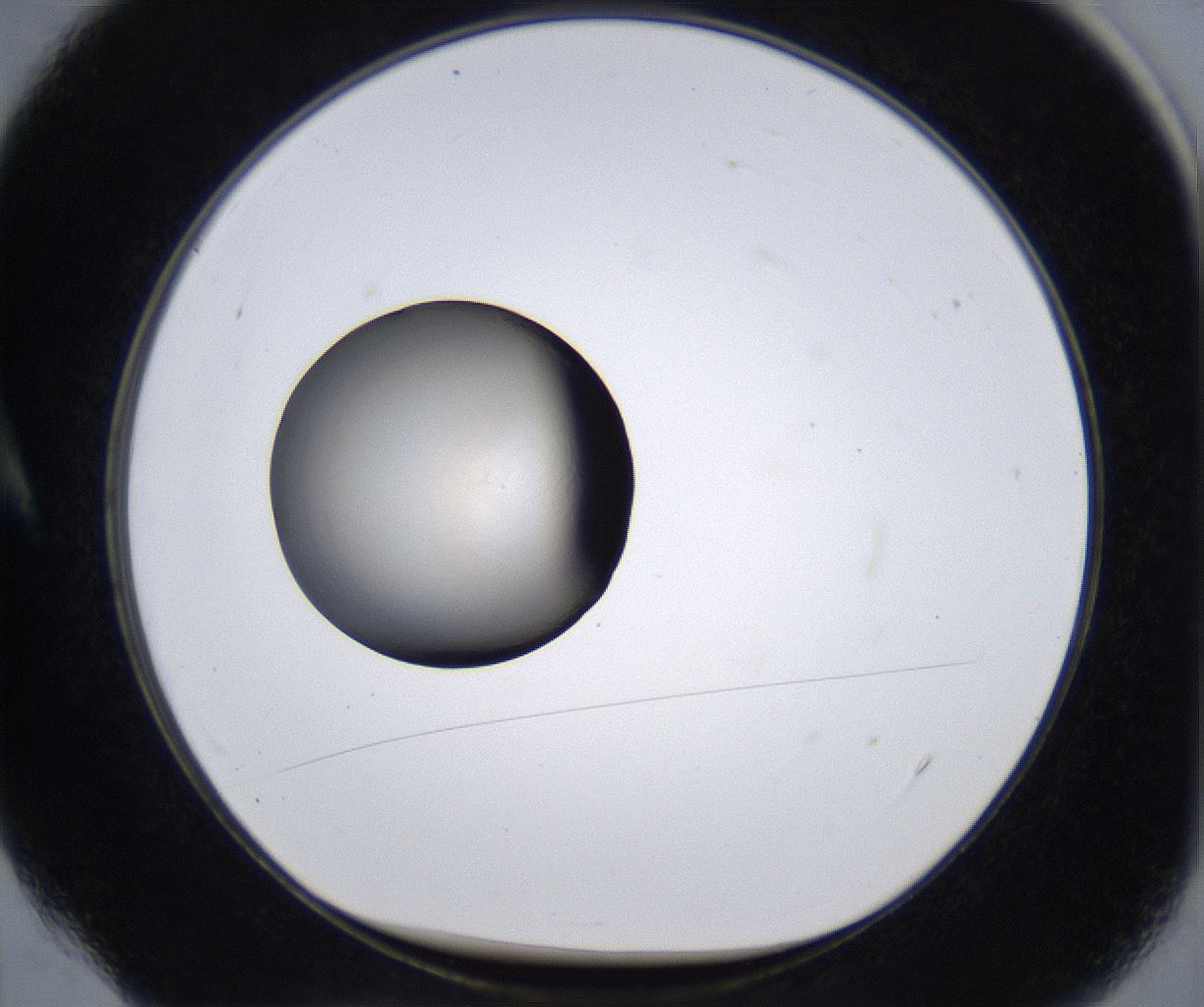 folderID278_plateID2278_batchID10787_wellNum4_profileID1_d1_r158836_ef.jpg