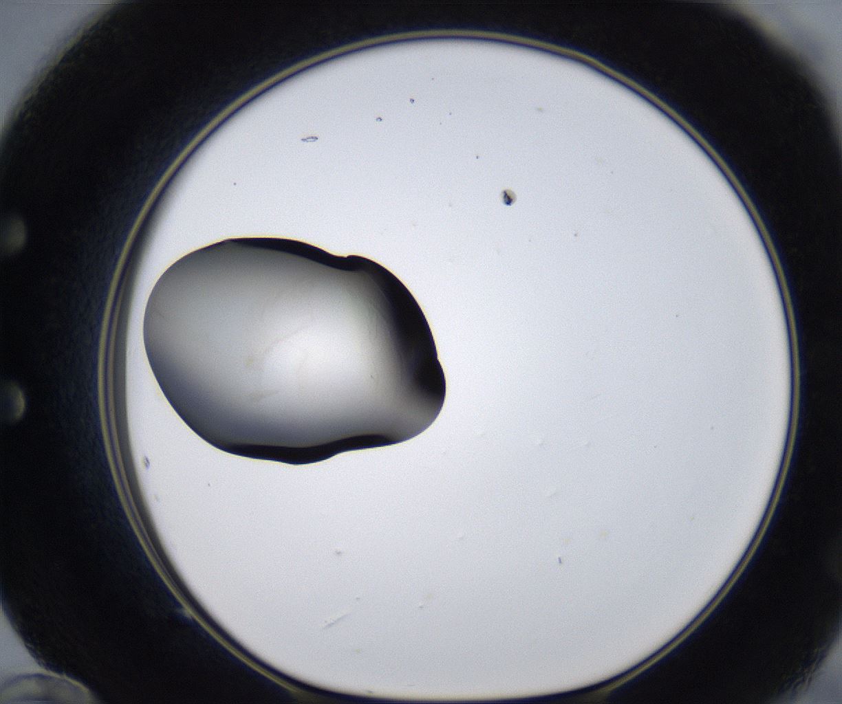 folderID278_plateID2278_batchID10787_wellNum60_profileID1_d1_r158948_ef.jpg