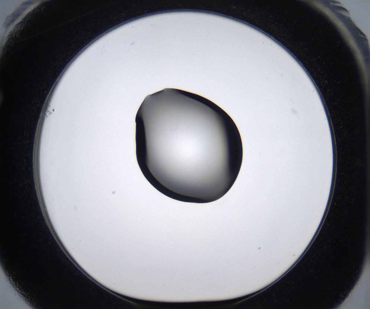 folderID278_plateID2278_batchID10787_wellNum61_profileID1_d1_r158950_ef.jpg